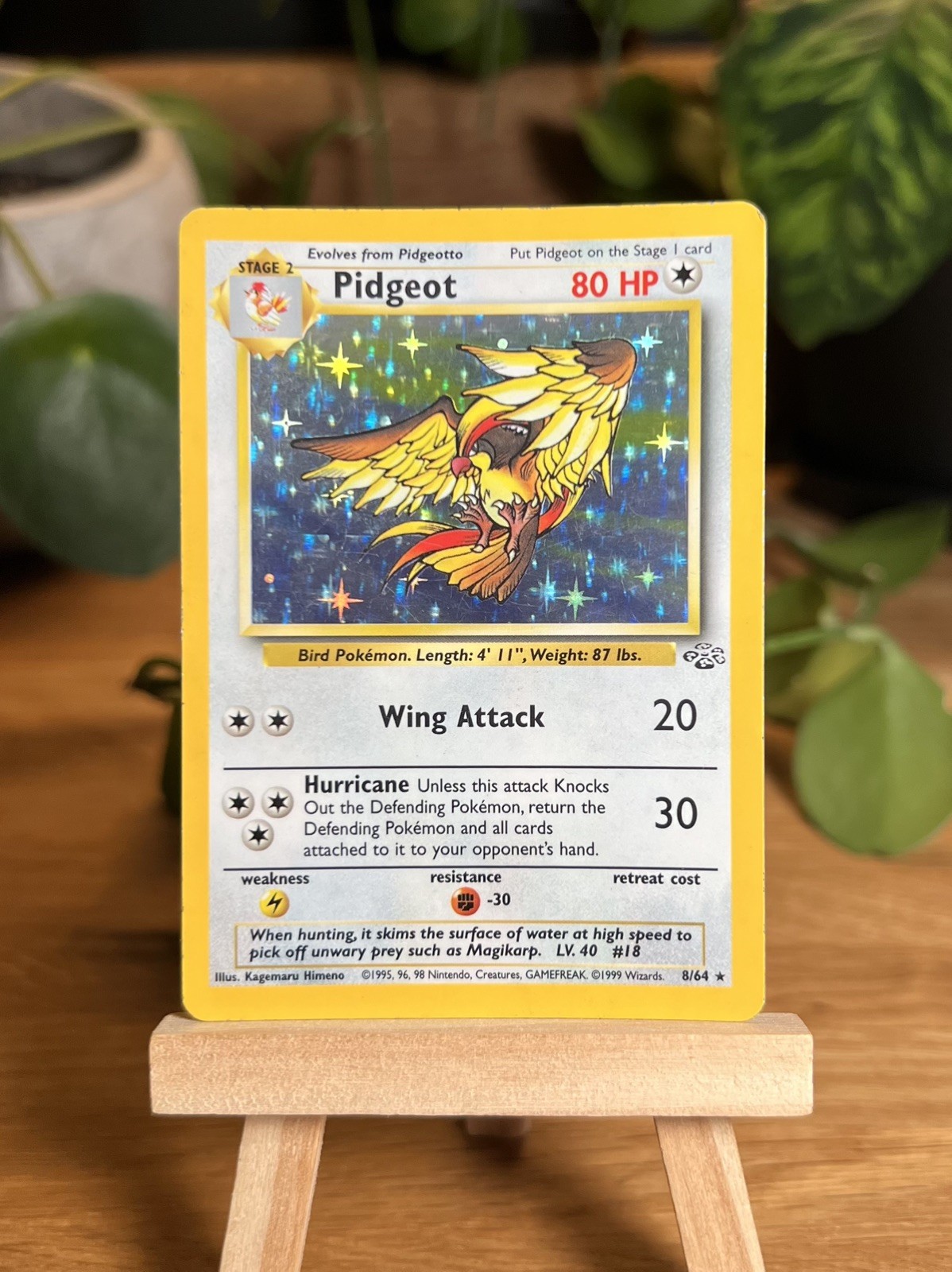 Pidgeot 8/64 Jungle Holo Rare Unlimited WOTC Vintage Pokemon Card 1999 Pidgeot 8/64 Jungle Holo Rare Unlimited WOTC Vintage Pokemon Card 1999