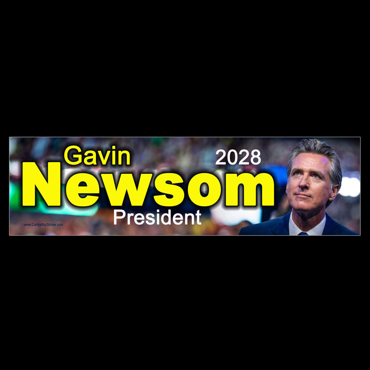Gavin Newsom 2028 President BUMPER STICKER or MAGNET magnetic