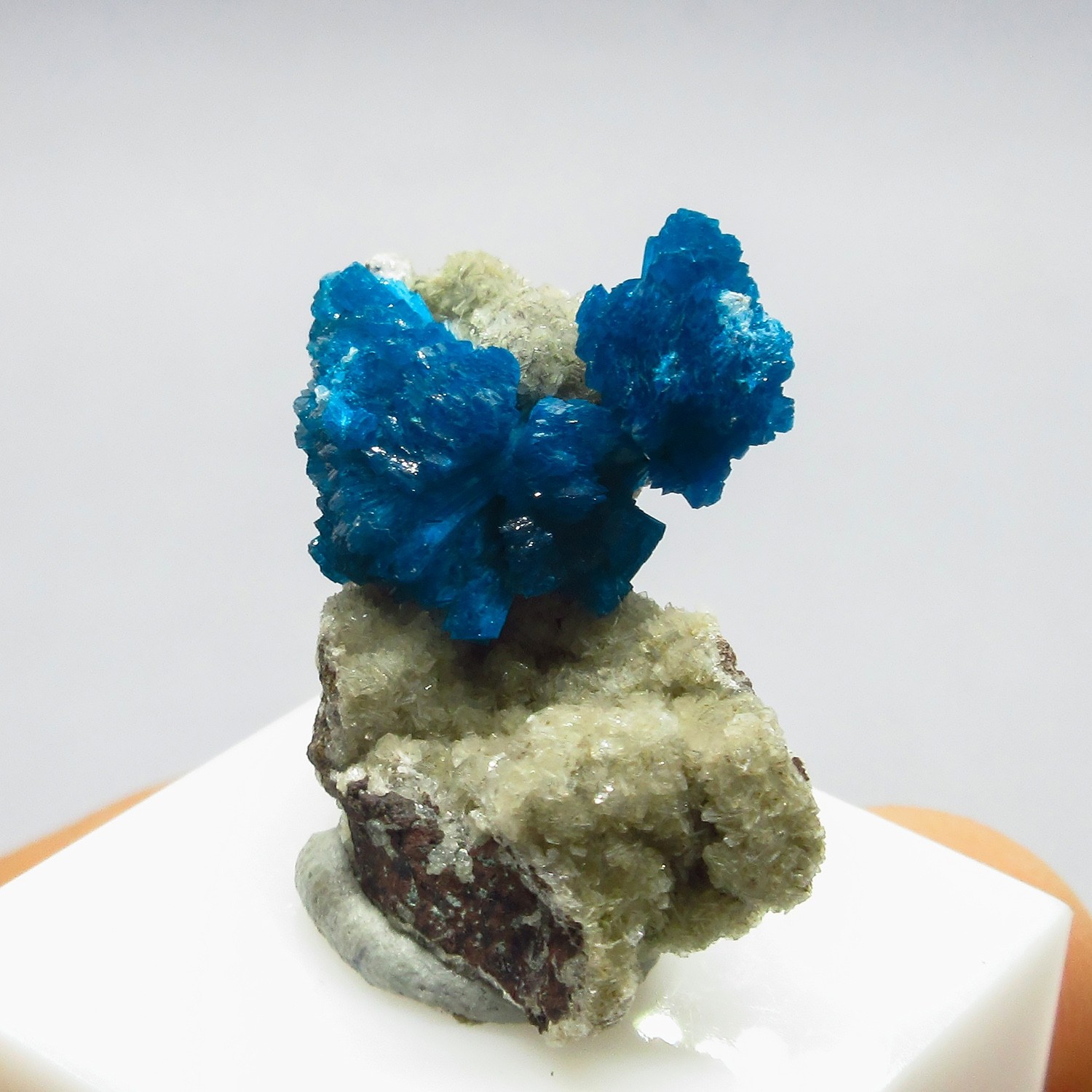 Cavansite on matrix  (non precious natural stone) # 4257