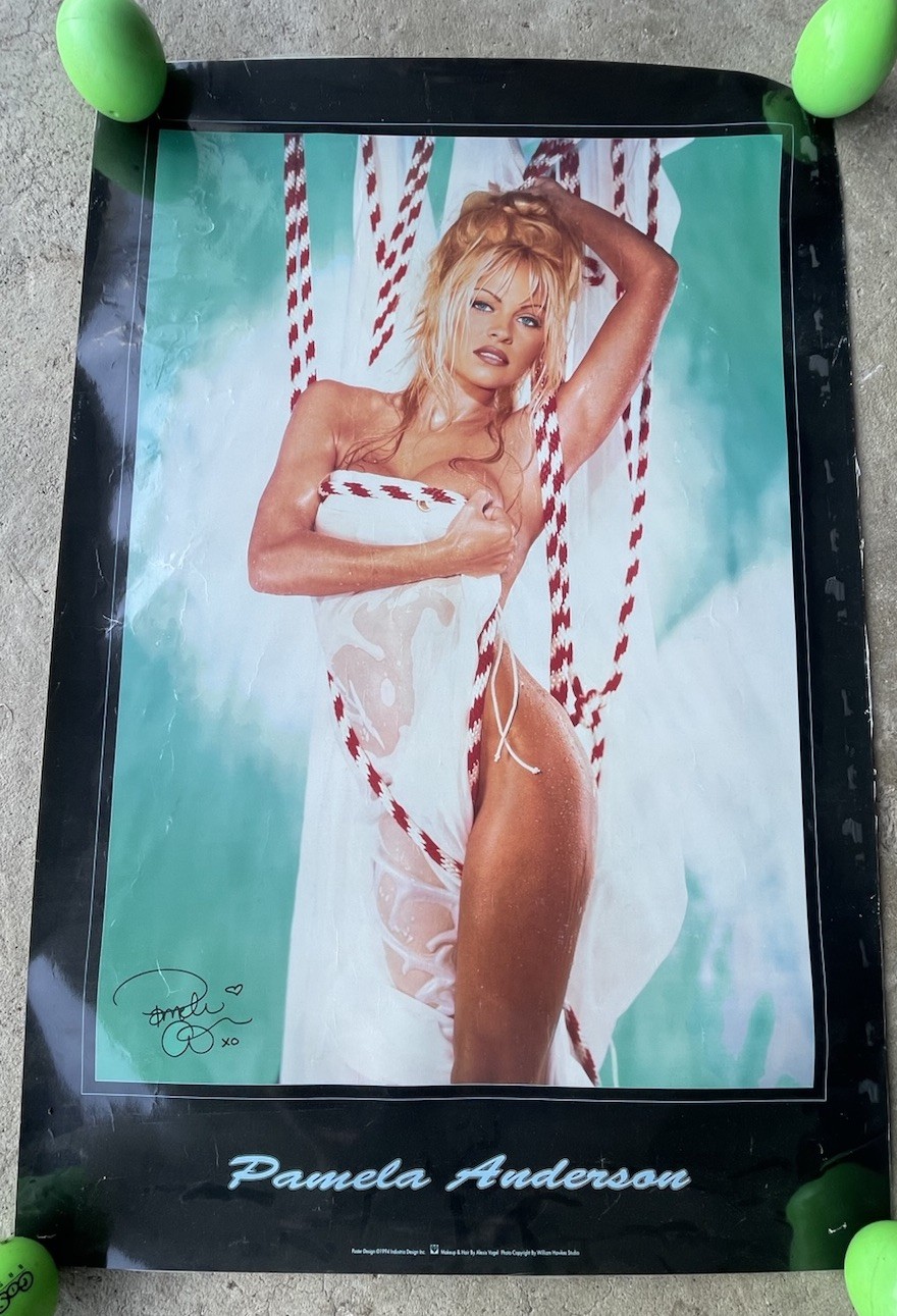 Vintage Pamela Anderson Poster 24x36 1994 Playboy Model By Alexis Vogel