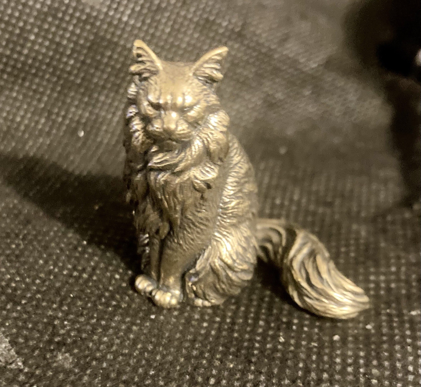 Maine Coon Cat 1 1/2\