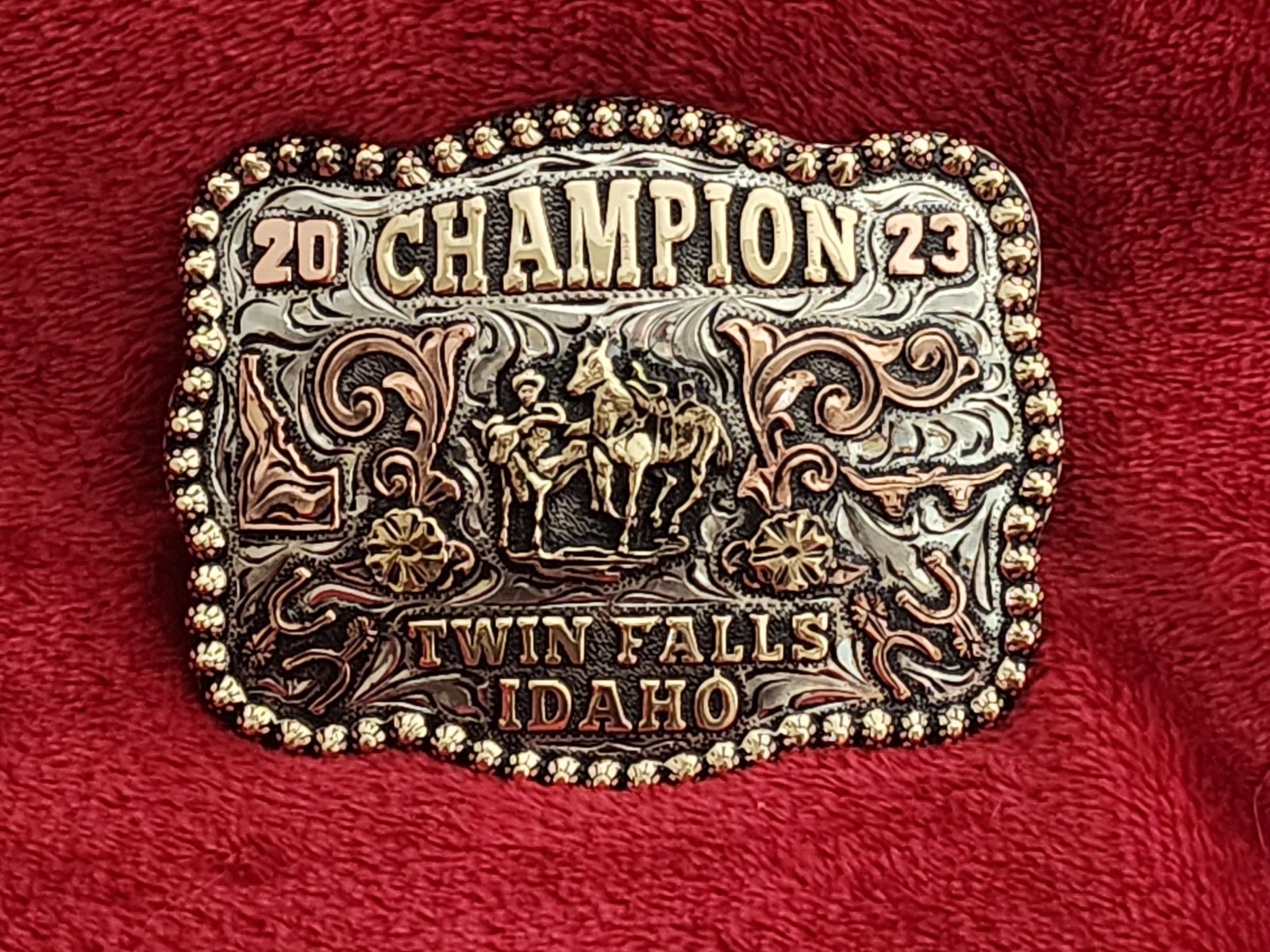 Bulldogging Rodeo Champion Trophy Belt Buckle☆Twin Falls Idaho☆2023☆976