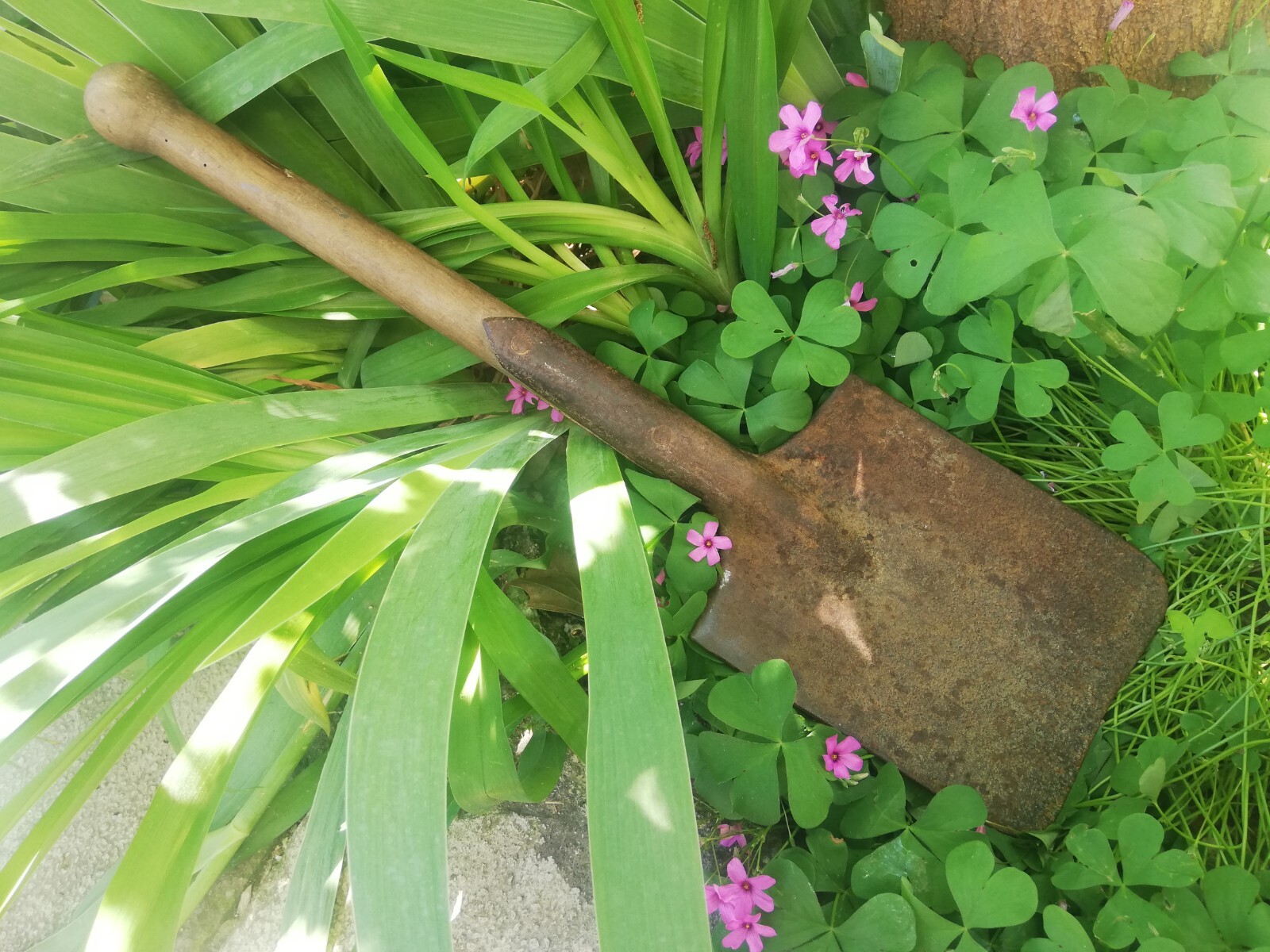 RARE WW2 WWII GERMAN GCQ WEHRMACHT SAPPER FIELD TRENCH ENTRENCHING SHOVEL TOOL