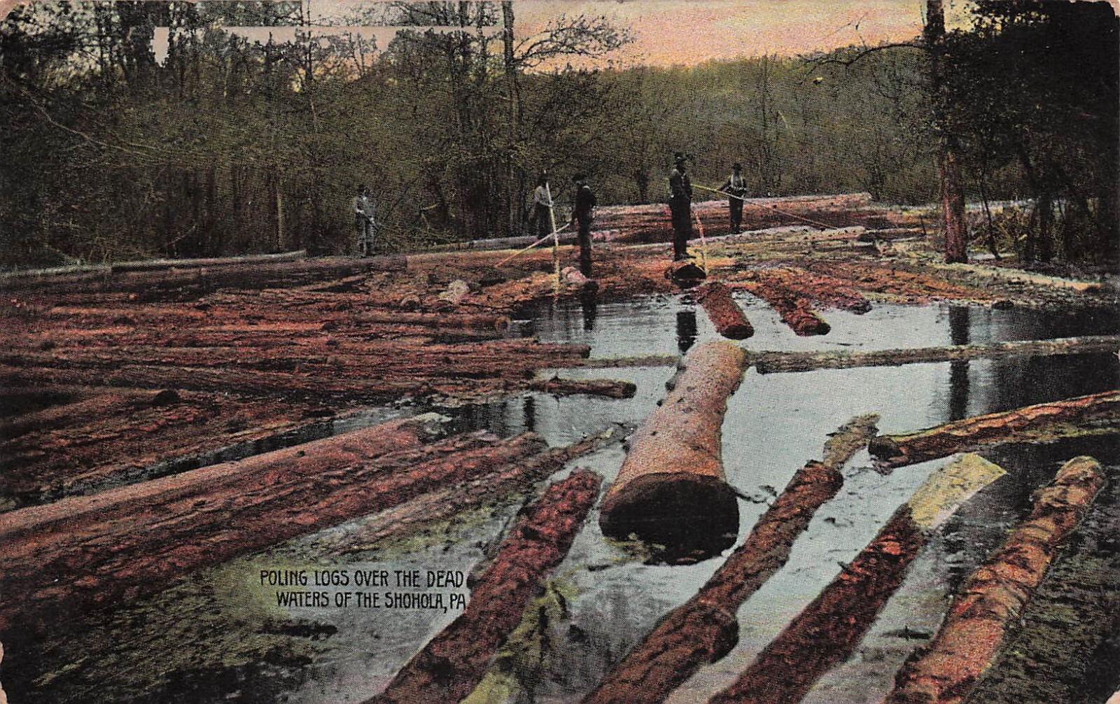 Shohola Camp Creek Falls Pike county PA Log Drive Logging Lumber Vtg Postcard F8
