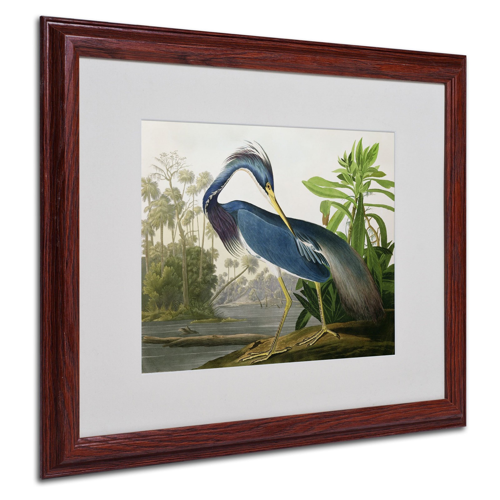 Framed Wall Art - John James Audubon 'louisiana Heron' Wall Decor Matted Frame Framed Wall Art - John James Audubon 'louisiana Heron' Wall Decor Matted Frame