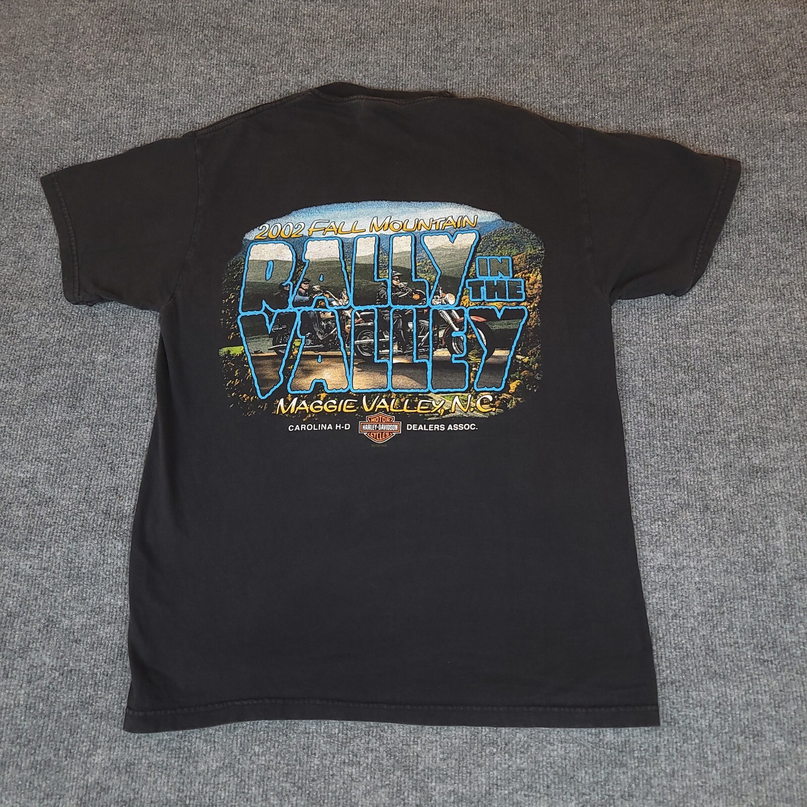 Harley Davidson Shirt Mens Medium Faded Black Rally in the Valley Biker Vintage 
