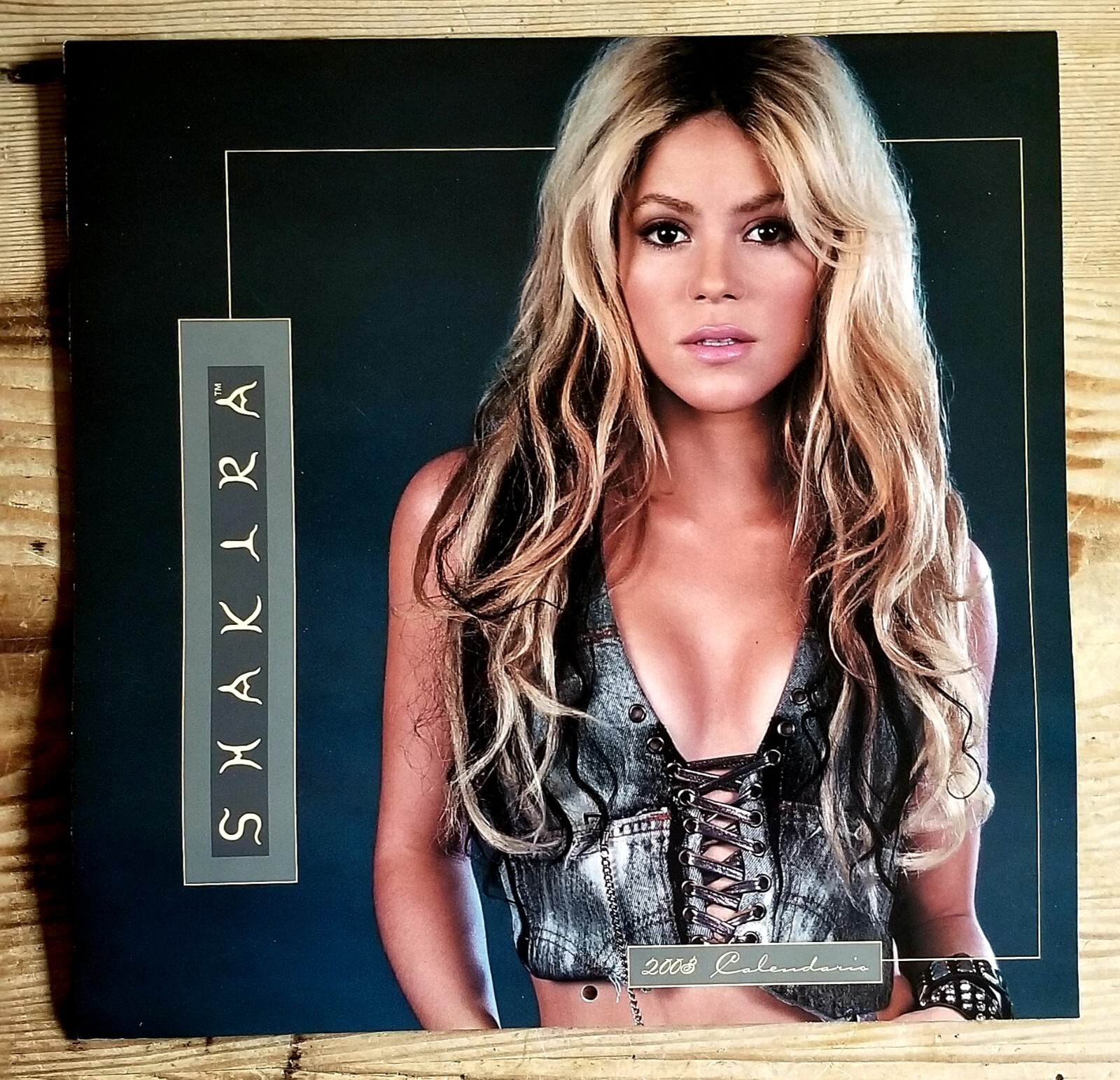 Vintage Shakira Wall Calendario NOS 2003 (Still Sealed) 