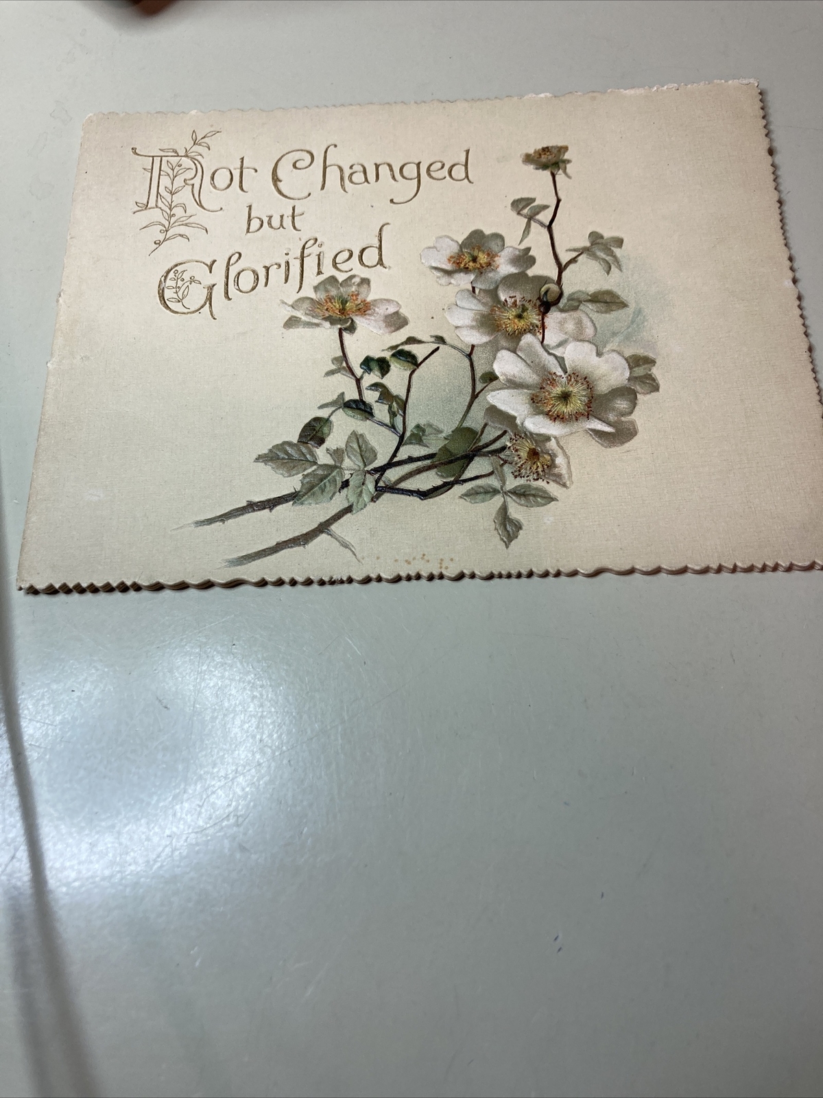 Victorian Mourning Sympathy Booklet Not Changed But Glorified Victorian Mourning Sympathy Booklet Not Changed But Glorified