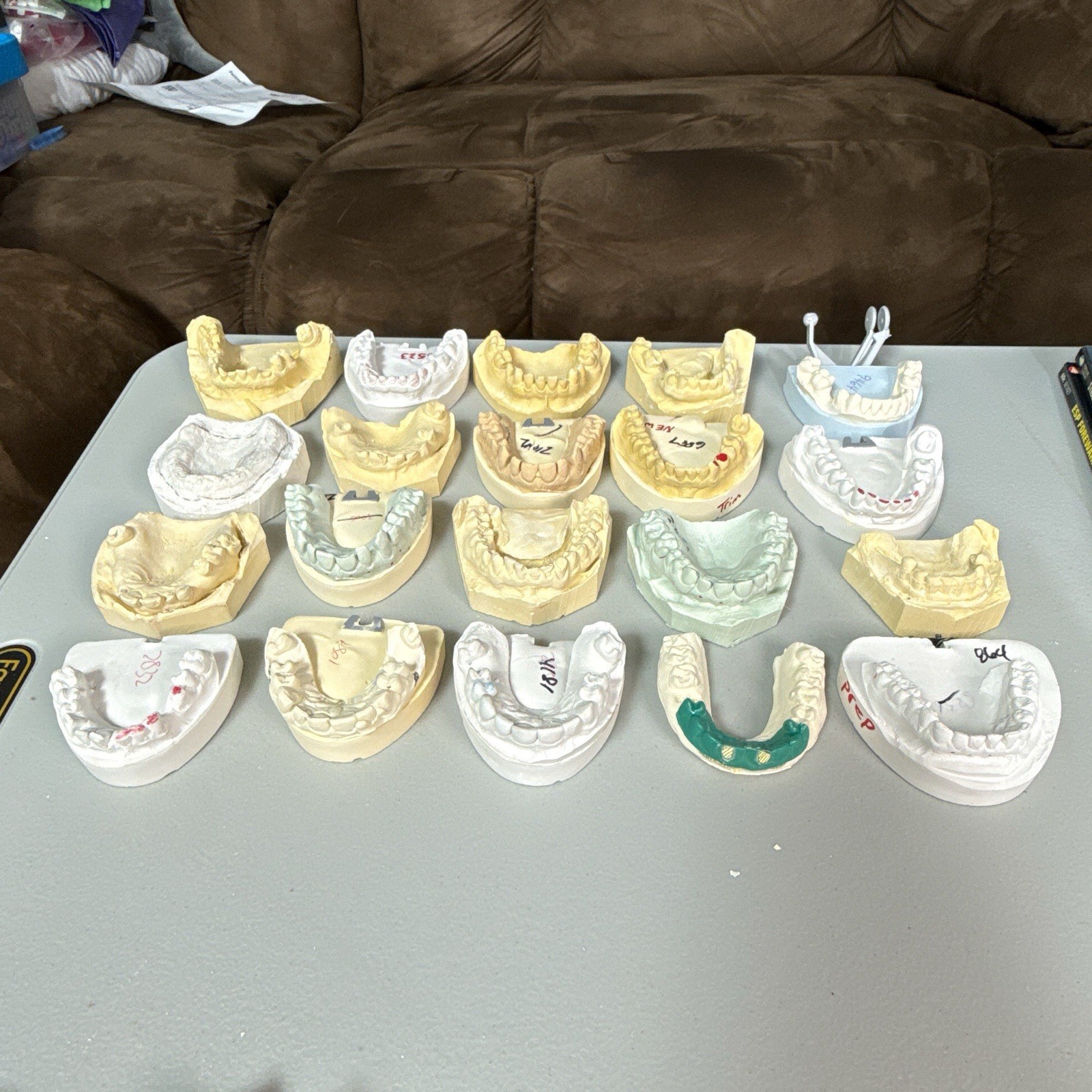 20 Dental Odd Plaster Real Tooth Teeth Molds Dentist Cast Impressions Vintage
