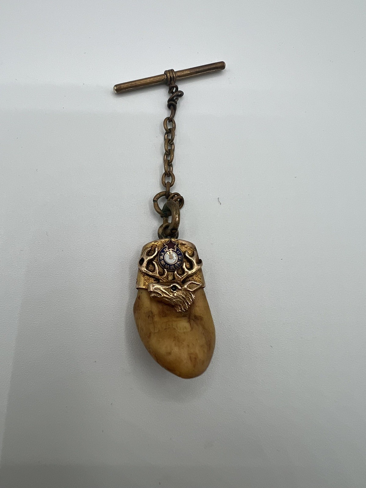 Vintage BPOE Elks Lodge 14k Gold Elk Tooth Pendant Keychain Gemstone Eyes Ruby? Vintage BPOE Elks Lodge 14k Gold Elk Tooth Pendant Keychain Gemstone Eyes Ruby?
