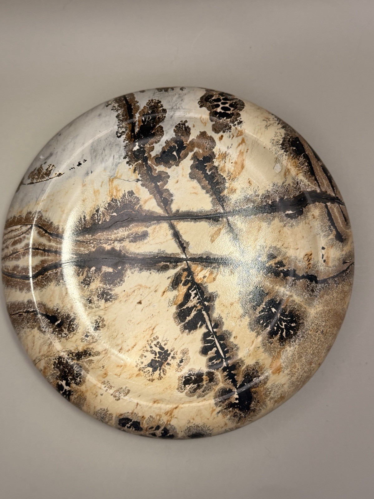 Picture Jasper Plate 5.5 Inches 1.4 Lbs Natural Crystal Gemstone 