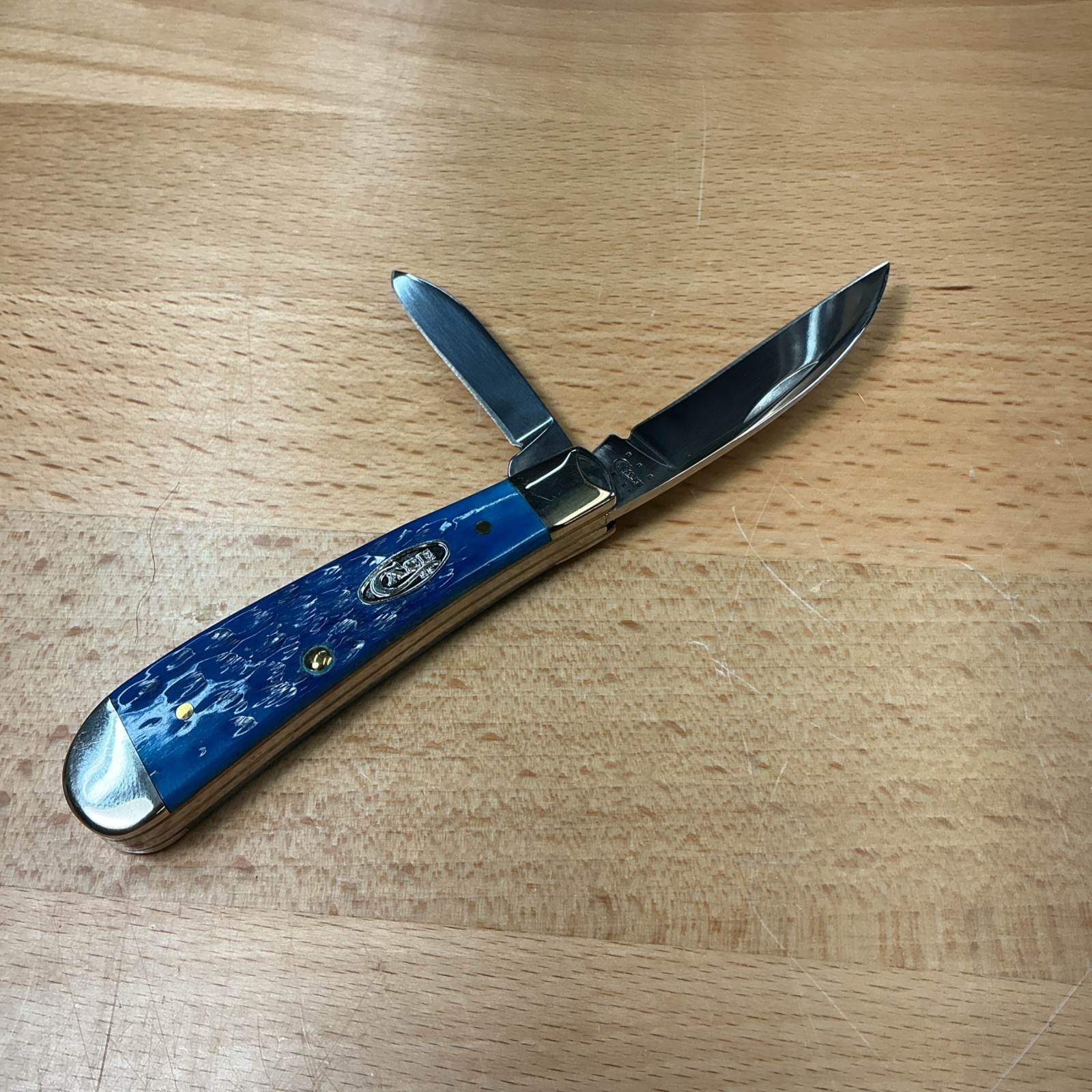 Case XX~T.B. 62117 SS~Sway Back~2014~Pacific Blue Scales~U.S.A.~Very Nice Knife