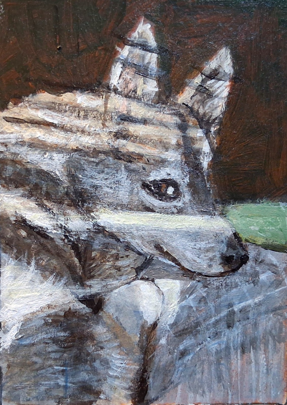 Handpainted Original  ACEO  Art  Dog Husky Pup Sunshine on My Shoulders