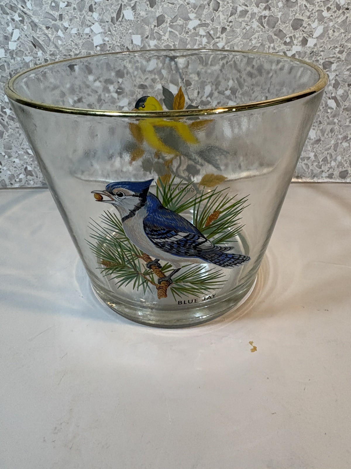 Vintage West Virginia Glass Ice Bucket with Blue Jay  & Goldfinch birds Gold Rim