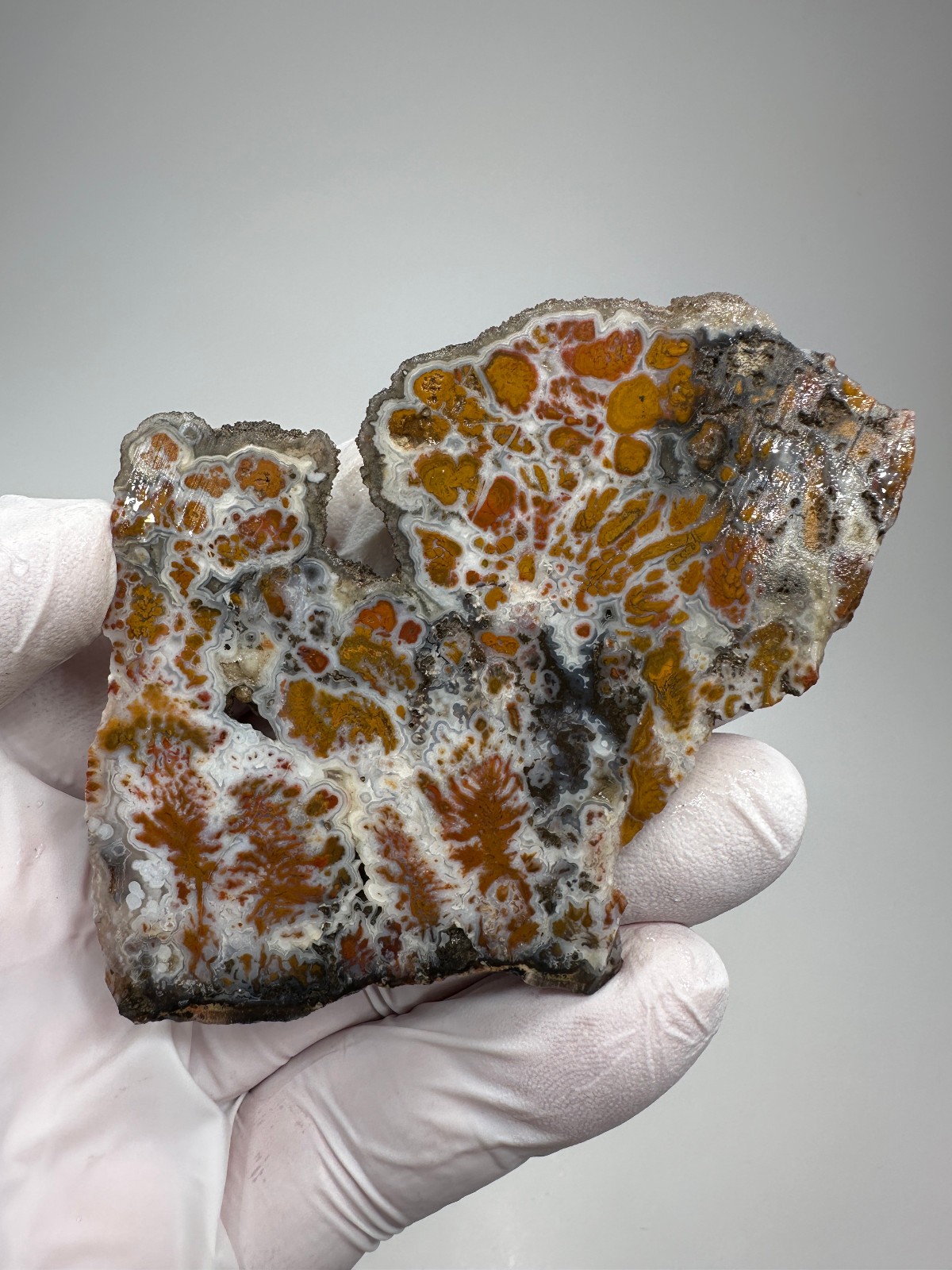 RARE Wingate Pass Plume Agate End-Cut Slab (a.k.a. Death Valley Plume)