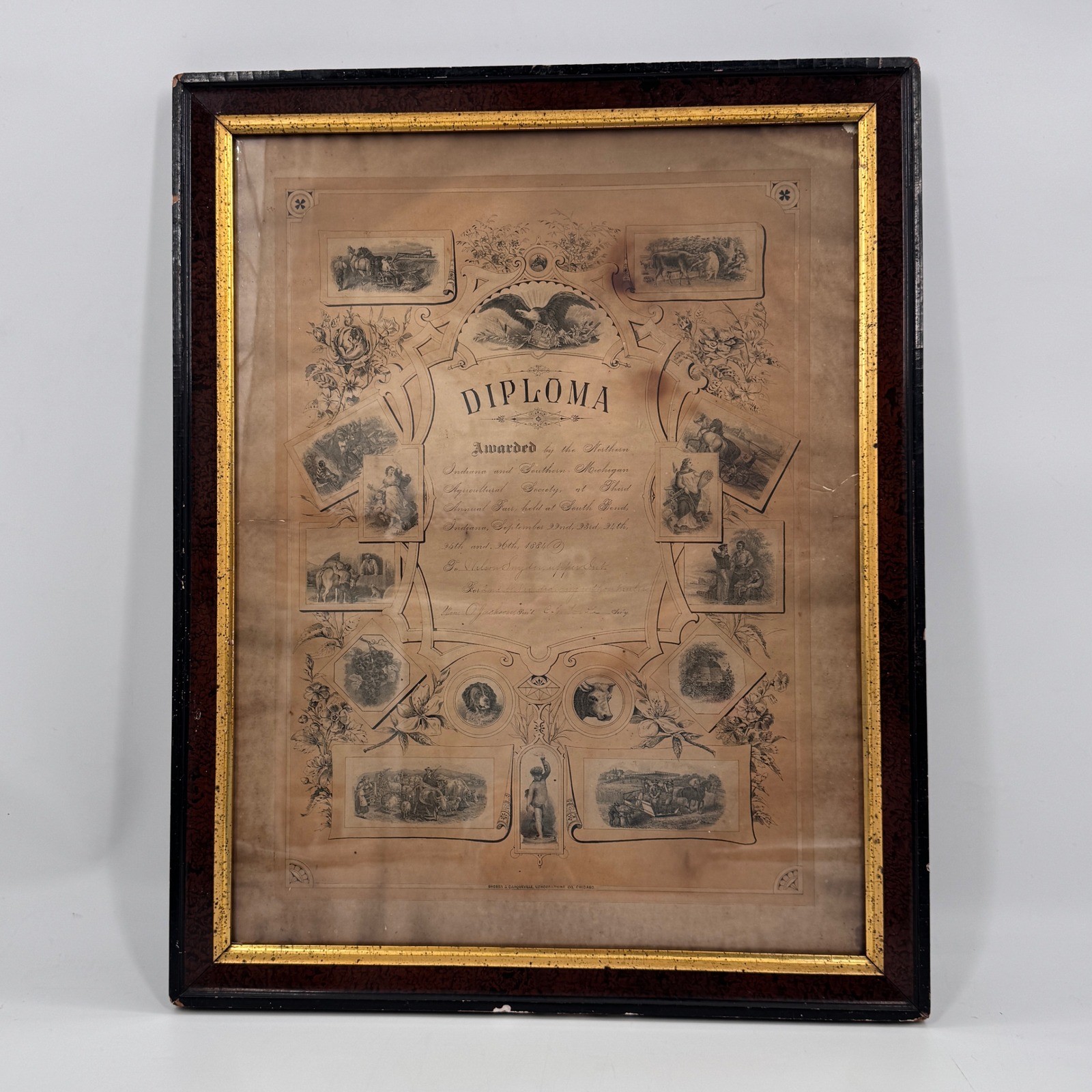 1884 Agricultural Fair Diploma Indiana Southern Michigan Americana
