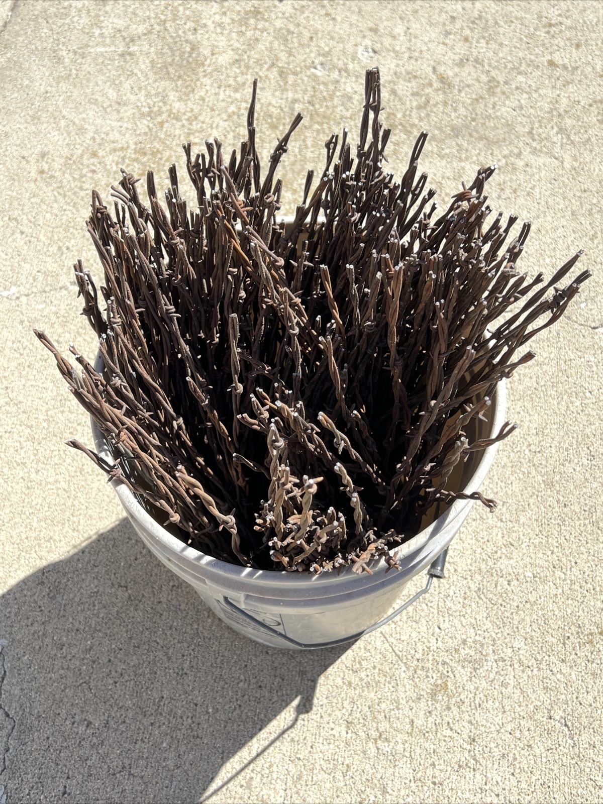 Rusty Barb Wire 18 Inch strands. Sharp old rustic look. Crafting Decor. 10 Count