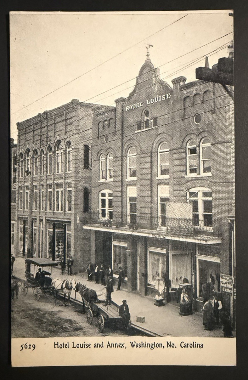 Hotel Louise and Annex Washington North Carolina c. 1910s Divided Back Postcard