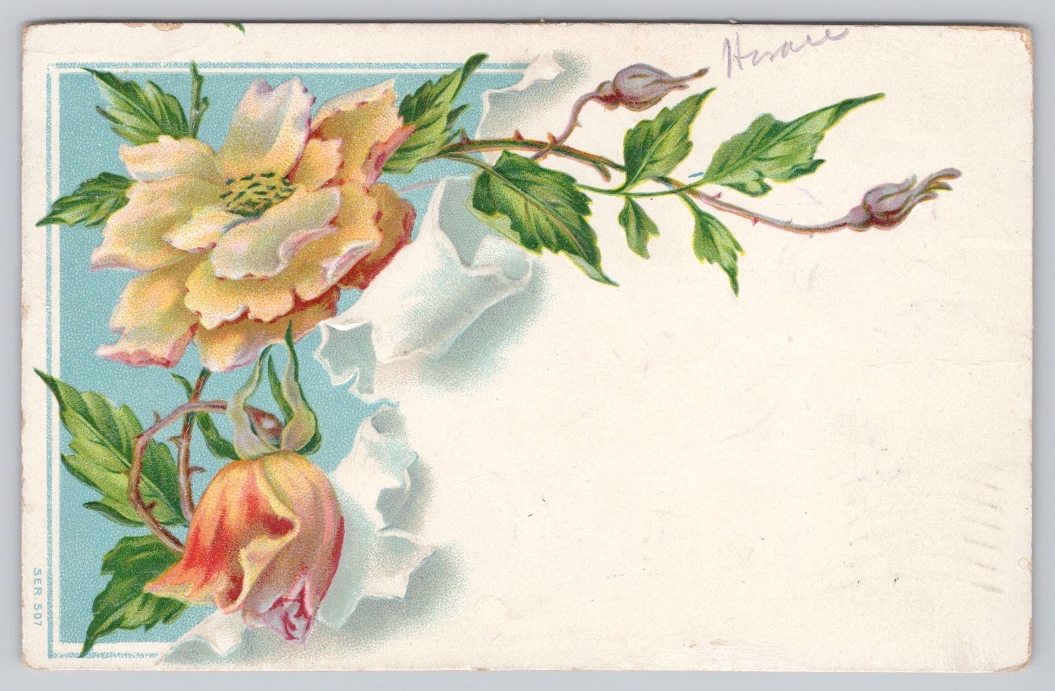 1911 Portage WI Floral Rose Chromo Postcard Mailed to Madison SD