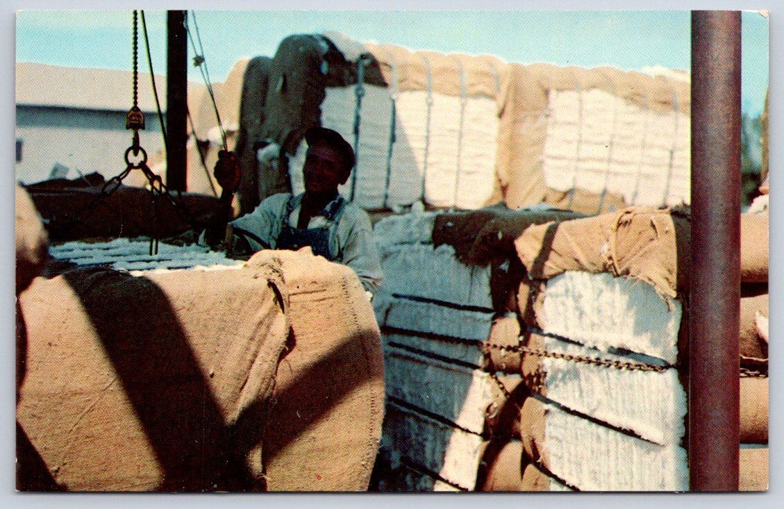Vintage Agriculture Industry Cotton Bales Worker Loading 1950s Vintage Agriculture Industry Cotton Bales Worker Loading 1950s