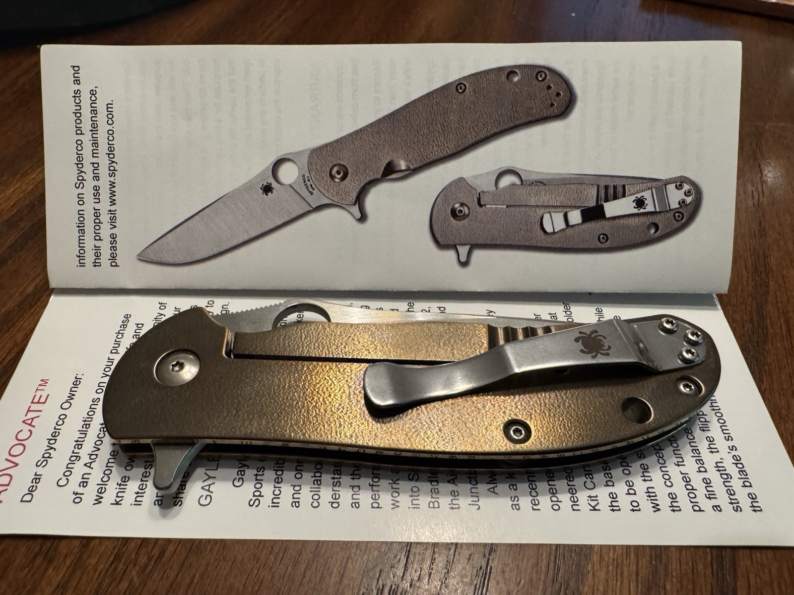Spyderco Gayle Bradley Advocate Rare/ Discontinued Excellent Condition 