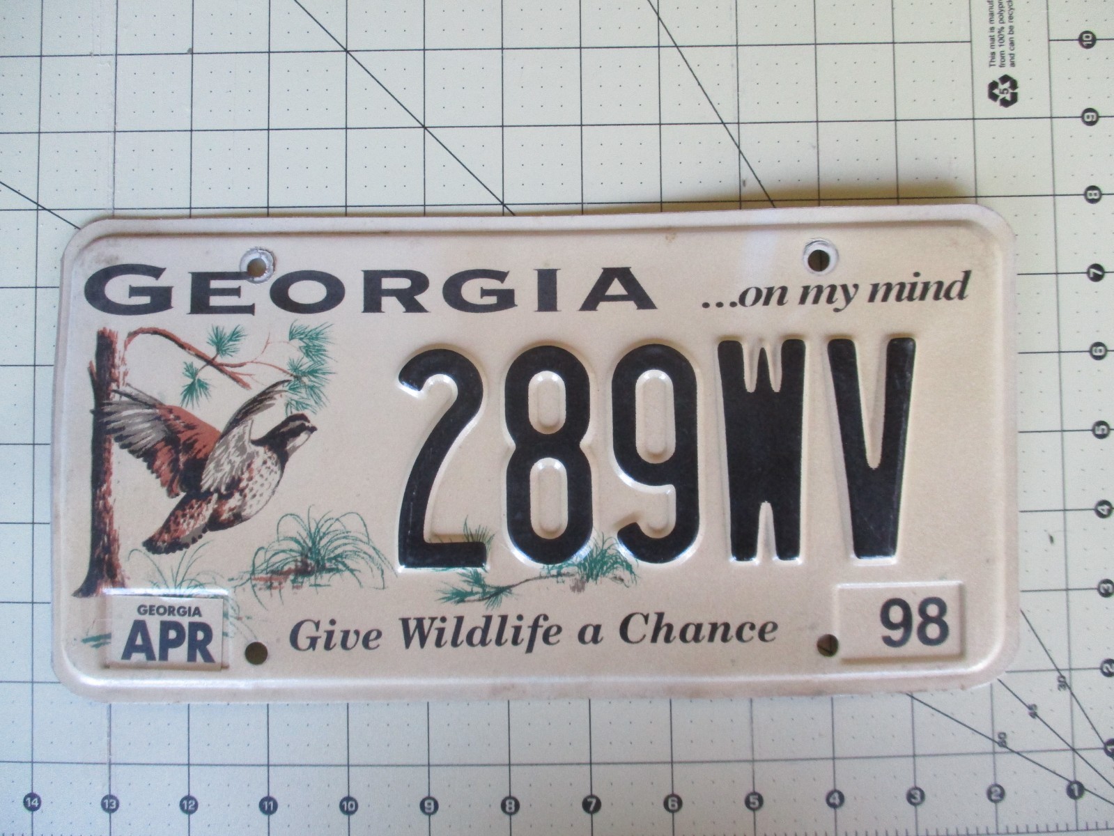 Vtg 1990 Model GEORGIA License Plate, GIVE WILDLIFE A CHANCE