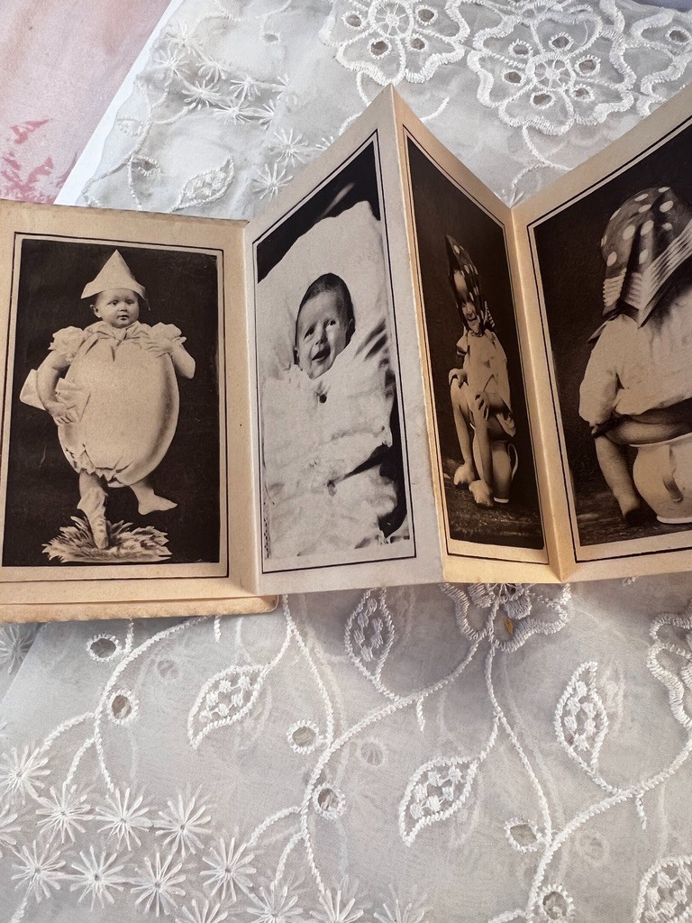Antique 1886 Funny Toddler Fold Out Pictures A Wittemann Park Place NY