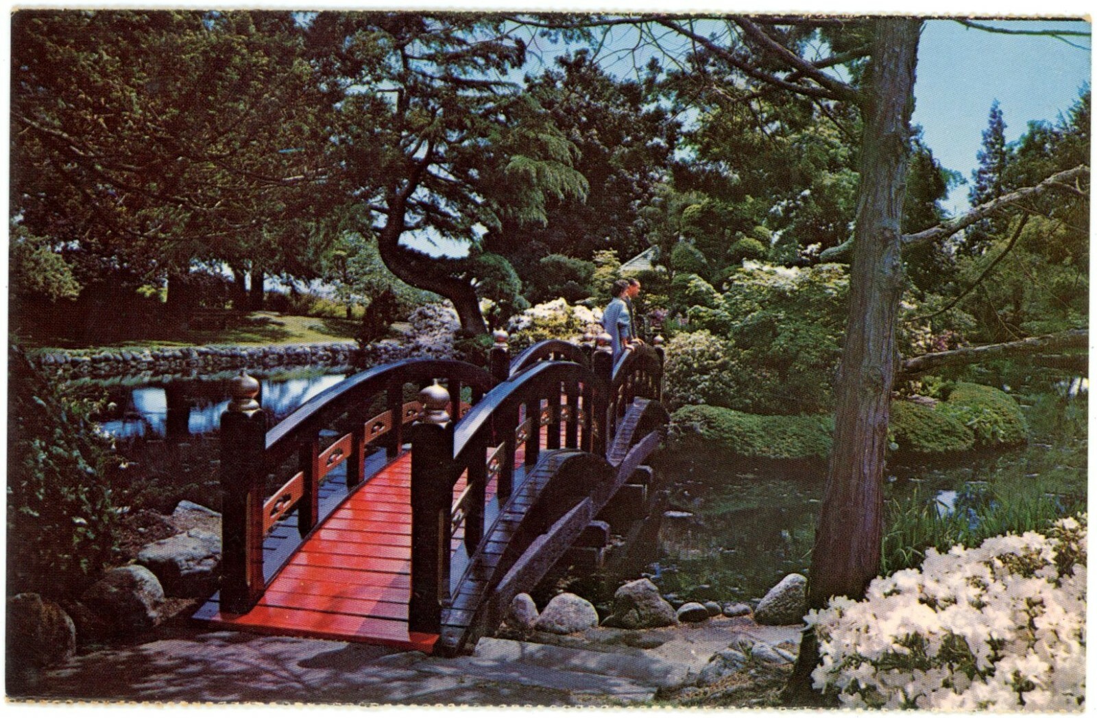 Royal Roads BC Canada Japanese Gardens Bridge Chrome Postcard Unused