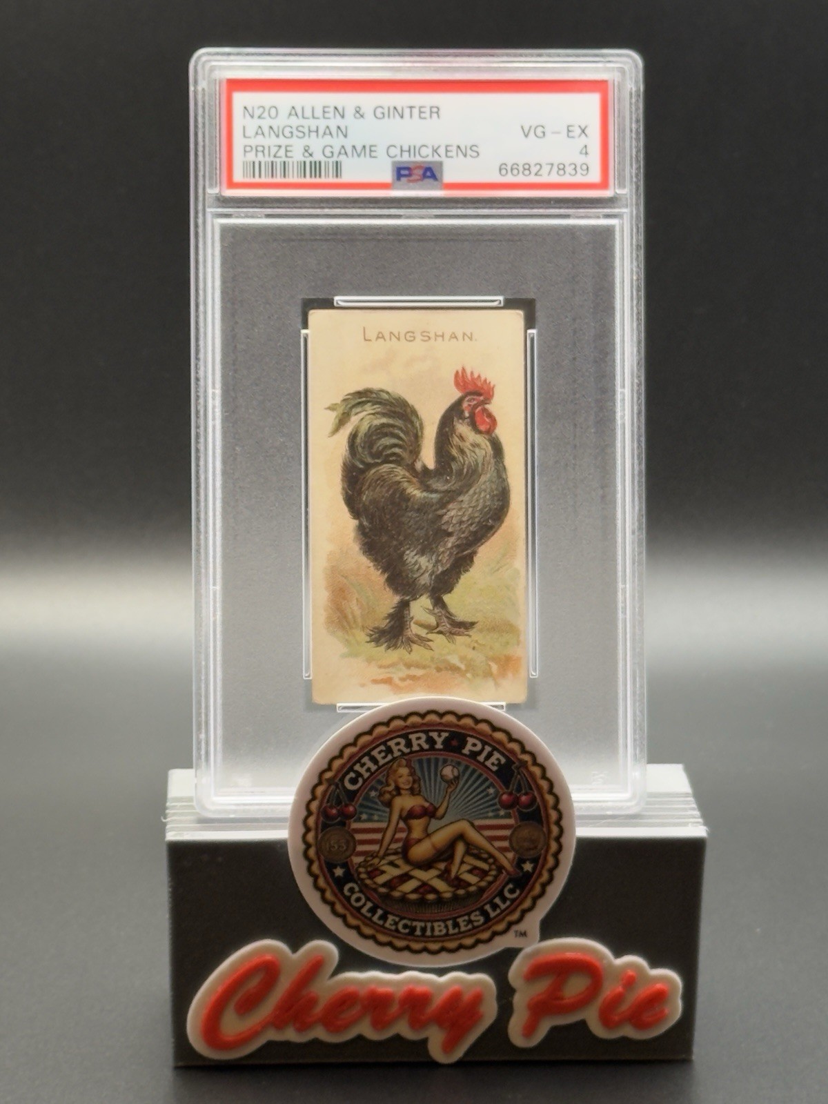 1891 N20 Allen & Ginter Prize & Game Chickens LANGSHAN PSA 4 VG-EX