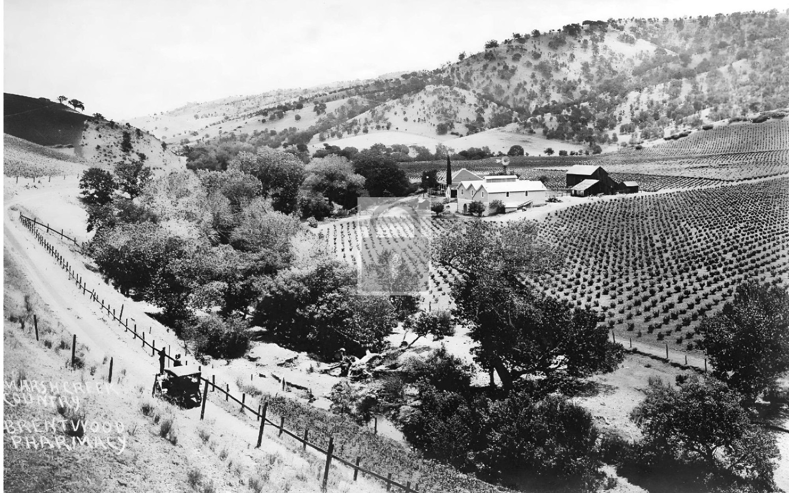 Birds Eye View Marsh Creek Vineyard Brentwood California CA - 11x17 Reprint
