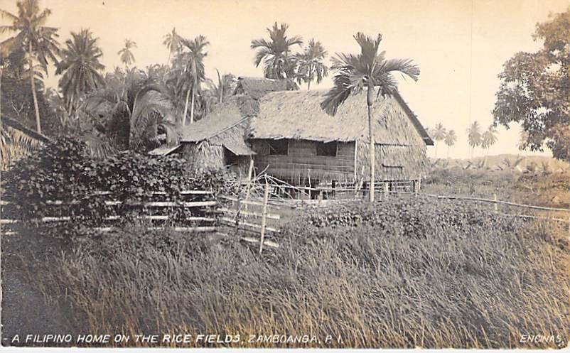 A Filipino Home On The Rice Fields, Zamboanga, Philippines, RPPC