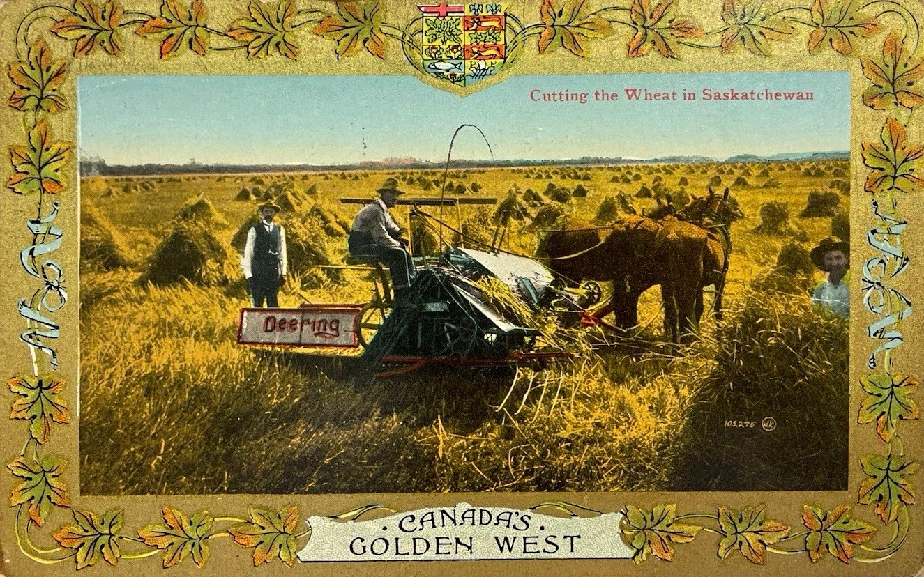 Valentine & Sons Canada Wheat Harvest Deering co Saskatchewan Postcard 1914