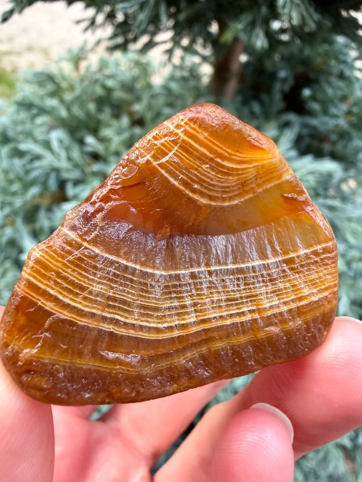 2.1 oz EUP Honey Lake Superior Agate - Micro-Banded Raw LSA Specimen (1.5