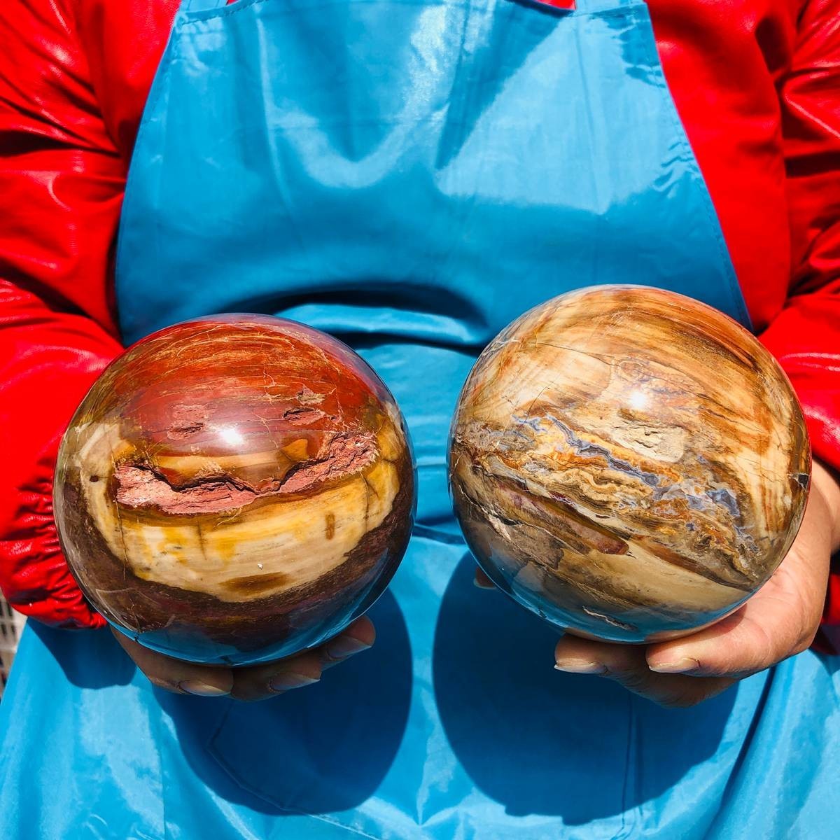 2PCS 5.1LB Natural Petrified Wood Agate Sphere Crystal Healing Specimen 4100
