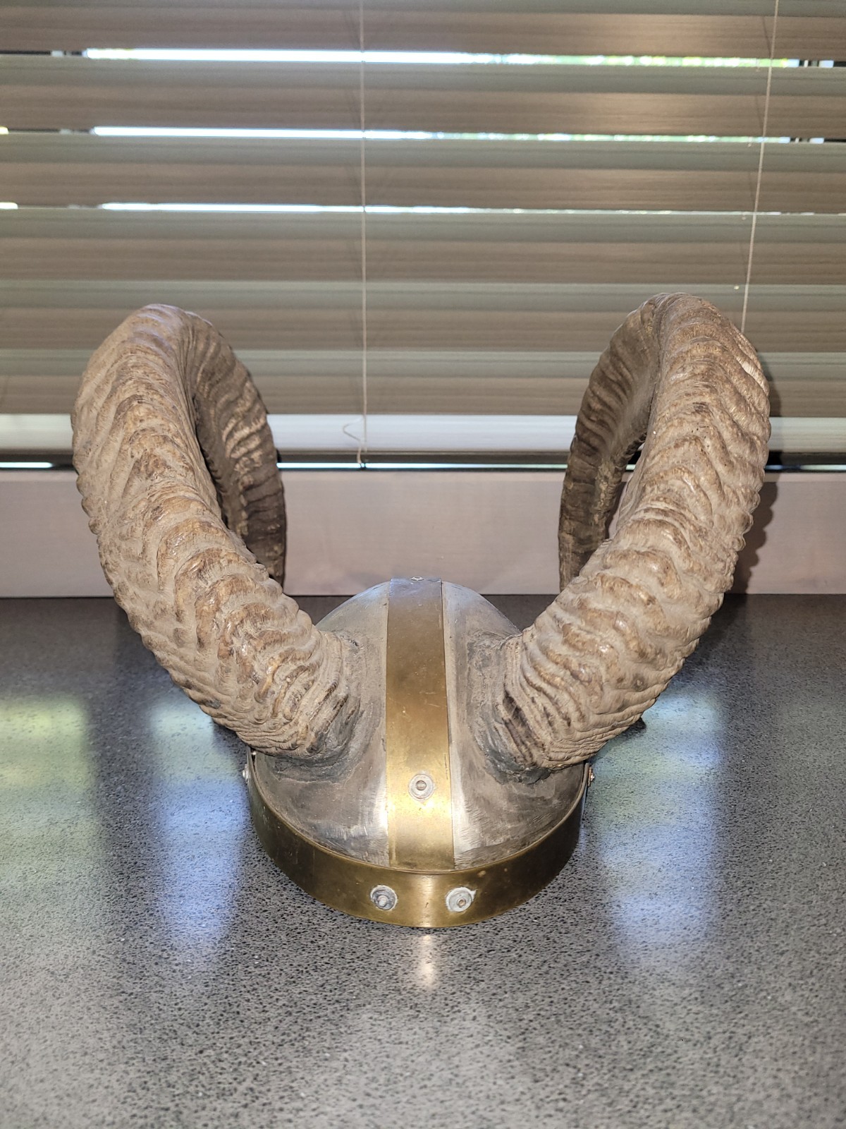 Viking Style Ram Horn Helmet Real Domestic Ram Horns Rustic Decor OOAK 