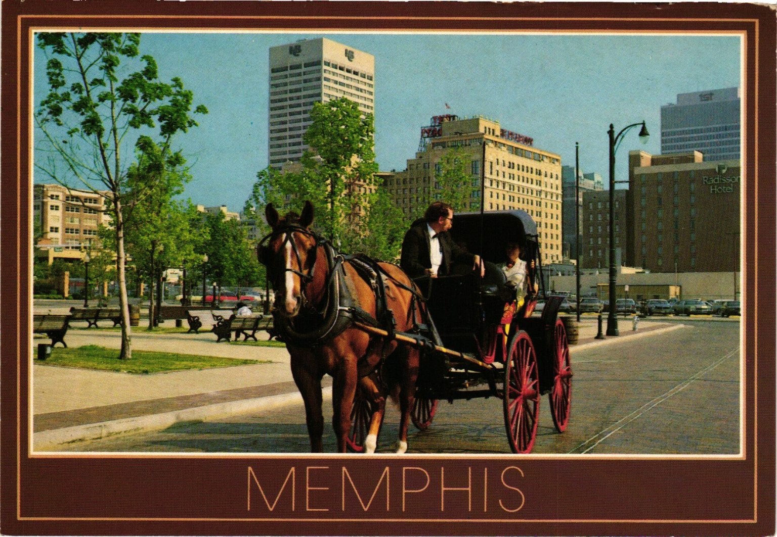 Vintage Memphis TN Horse & Carriage Sightseeing Kina Italia Postcard DLK-005