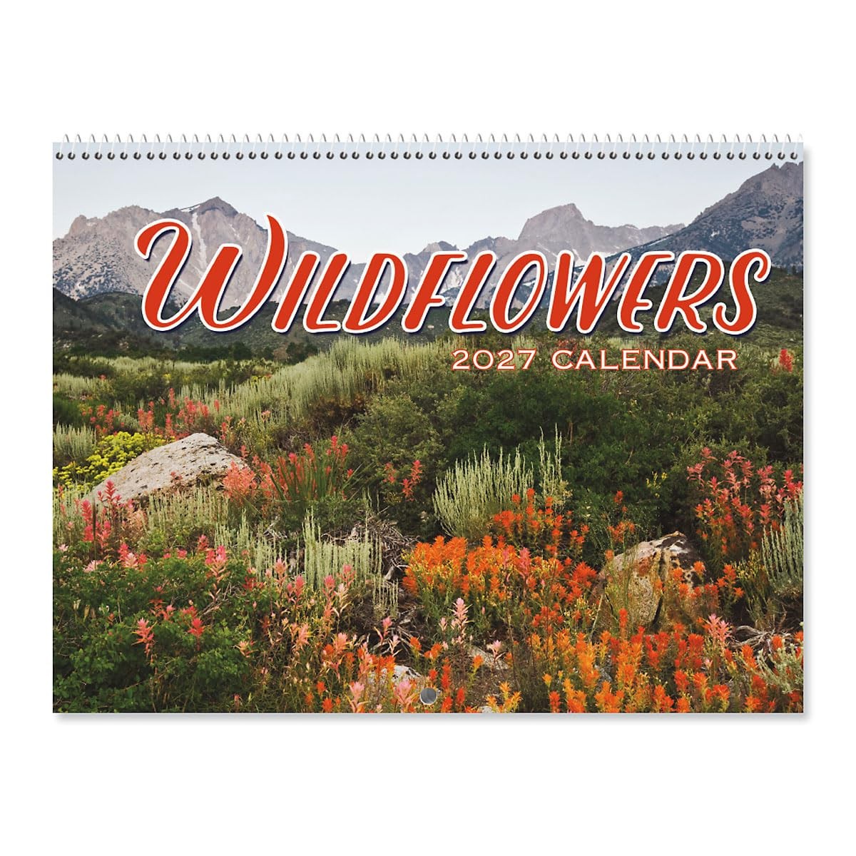 Current 2027-2028 Wall Calendar | Wildflowers, 9 Current 2027-2028 Wall Calendar | Wildflowers, 9