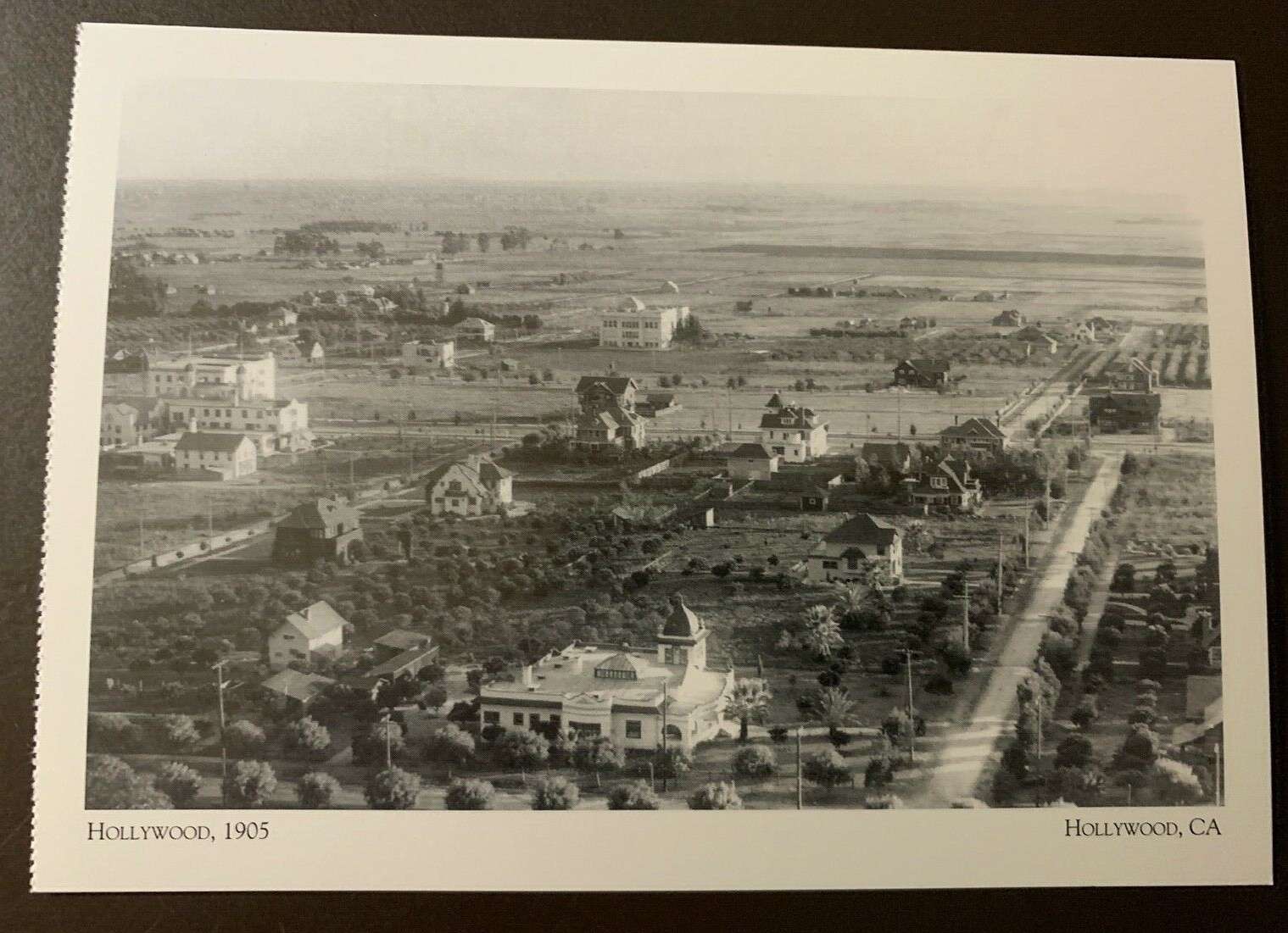Hollywood 1905 - Hollywood, Ca. postcard