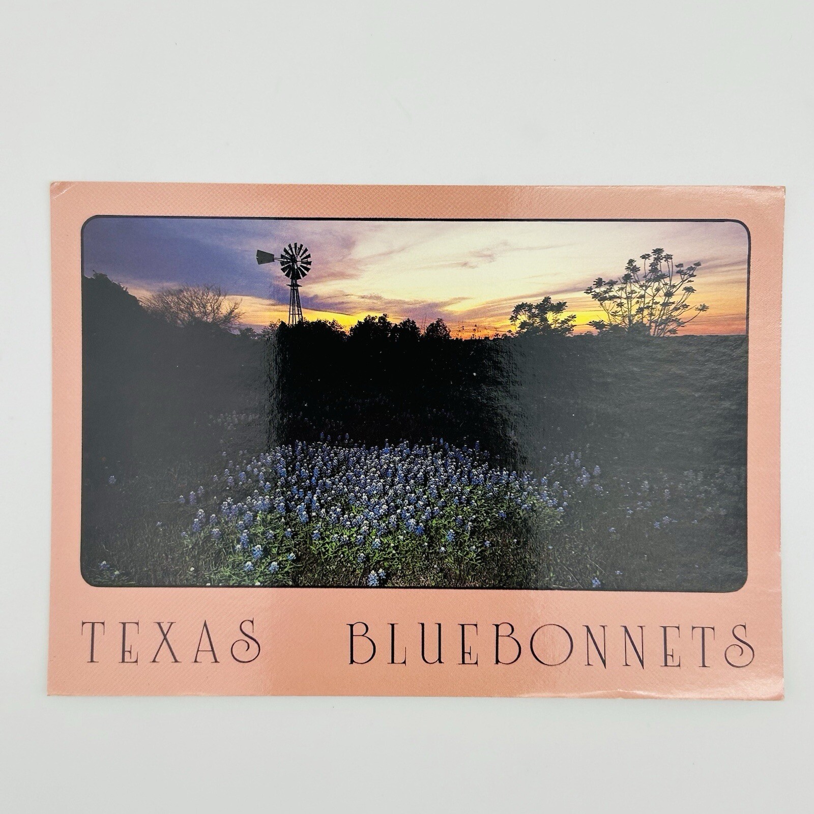 VINTAGE Texas Postcard Sunset Bluebonnets Windmill Farm Ranch Cowboy Country USA VINTAGE Texas Postcard Sunset Bluebonnets Windmill Farm Ranch Cowboy Country USA