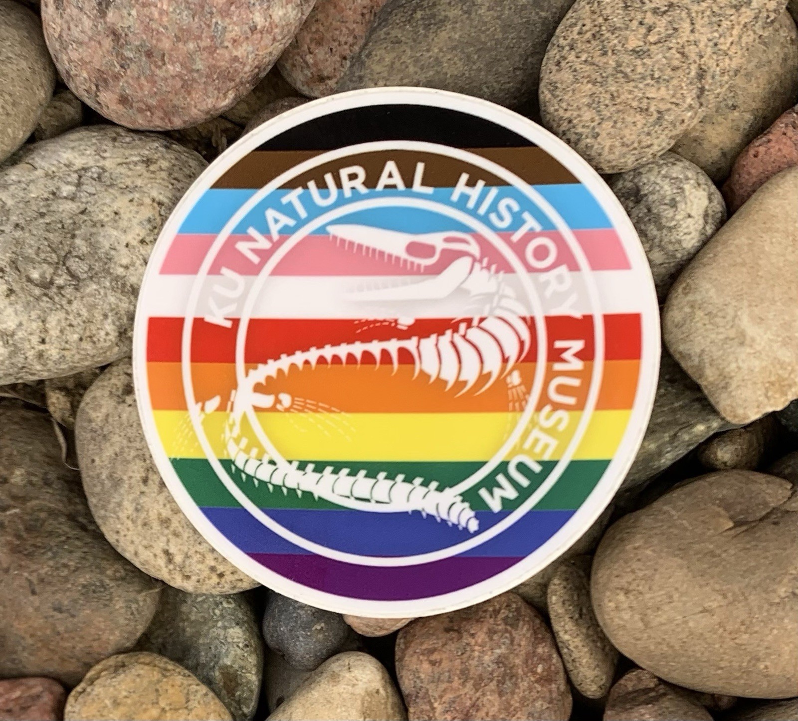 KU Kansas University Natural History Museum Sticker. Rainbow