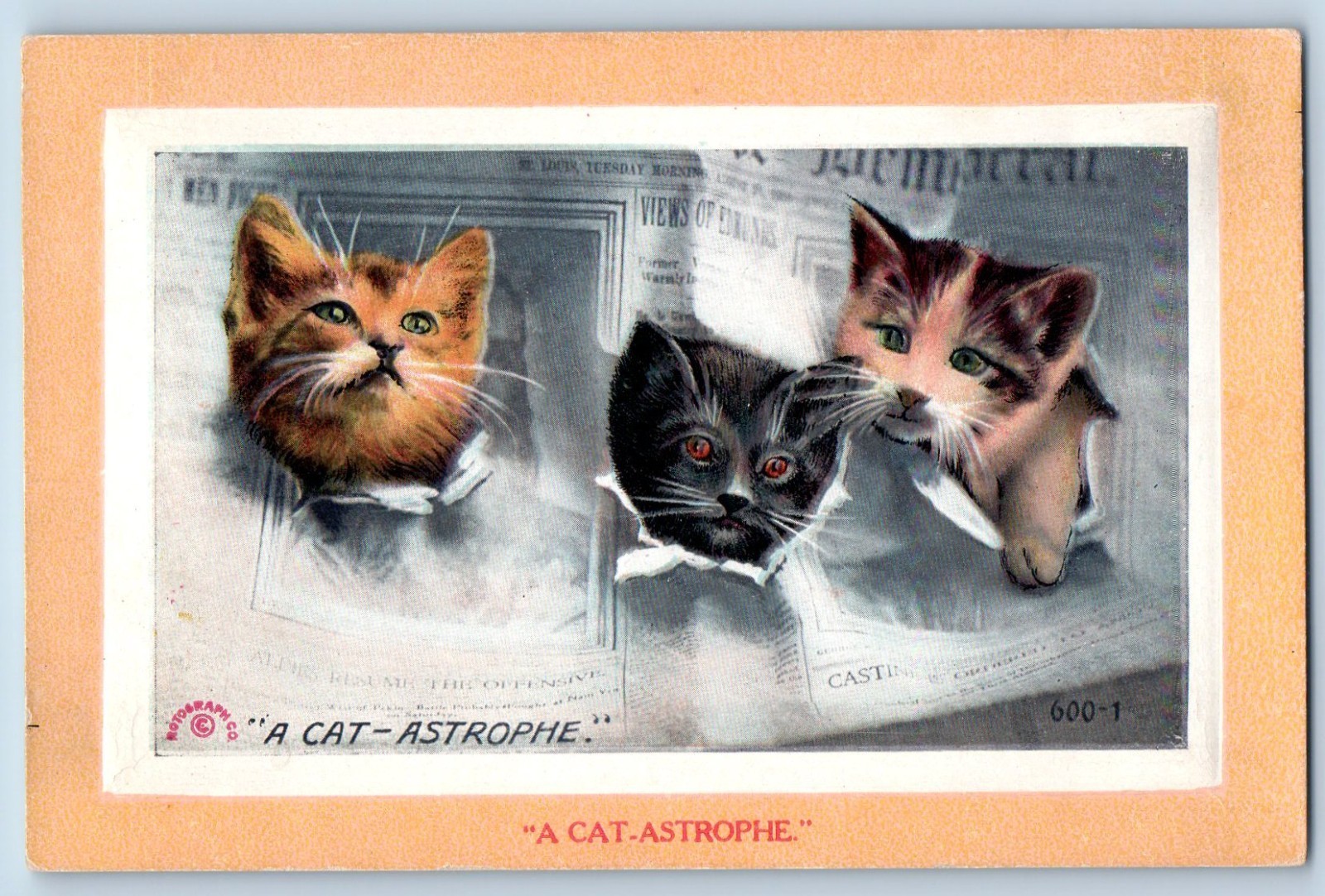 c1910's A Cat Astrophe Newspaper Kittens Animal Unposted Antique Postcard