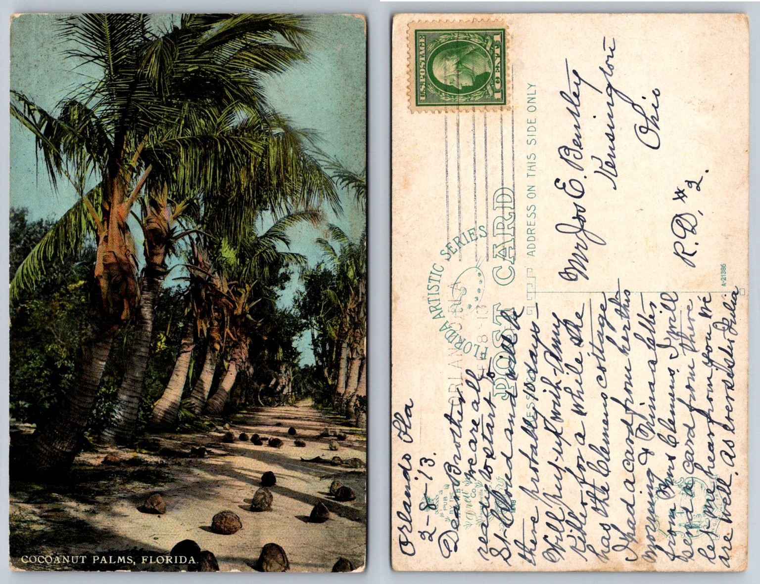 1913 Orlando Florida Coconut Palm Trees Path Antique Postcard Divided Back 1913 Orlando Florida Coconut Palm Trees Path Antique Postcard Divided Back