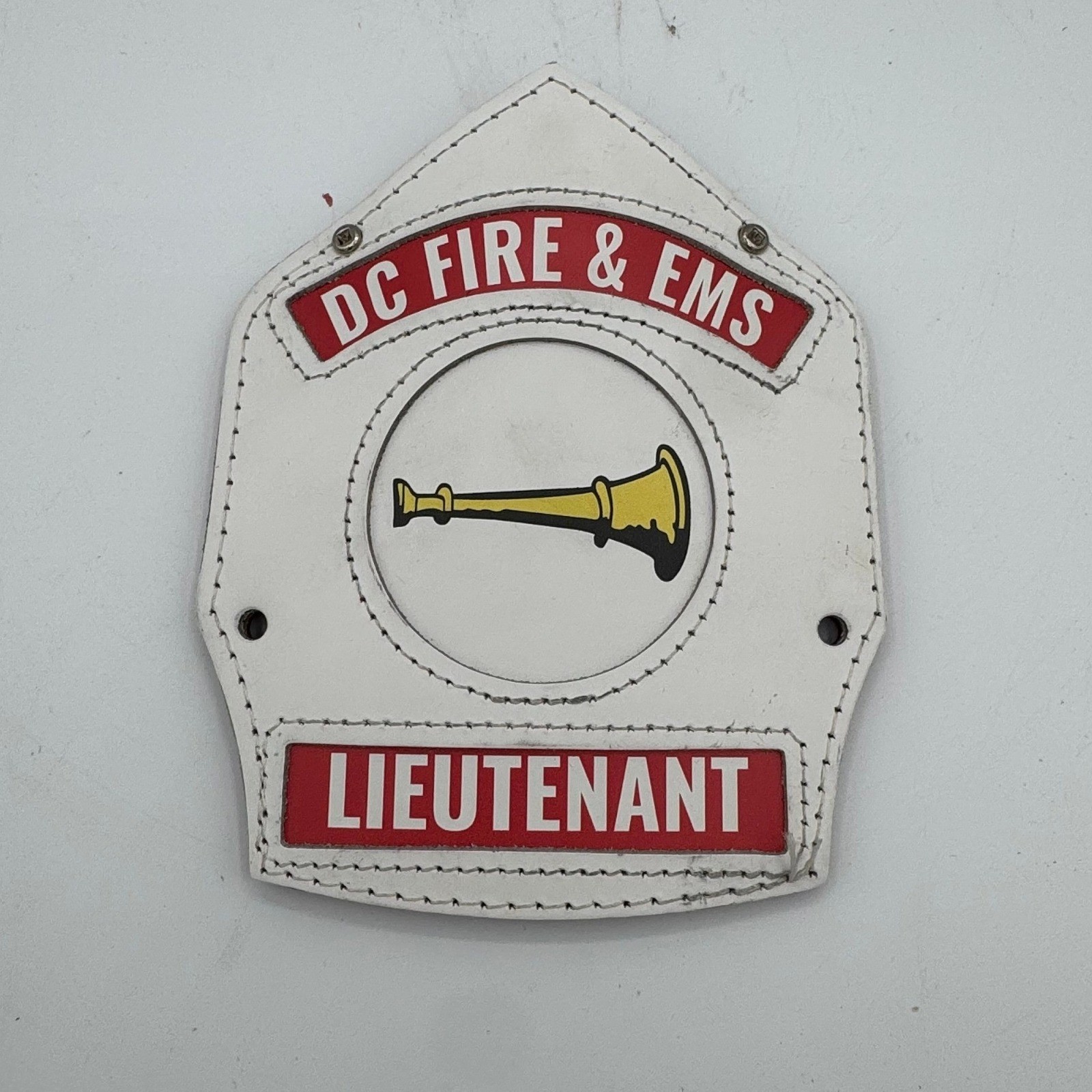 DCFD DC Fire & EMS Lieutenant MSA Cairns Leather Fire Helmet Front Shield