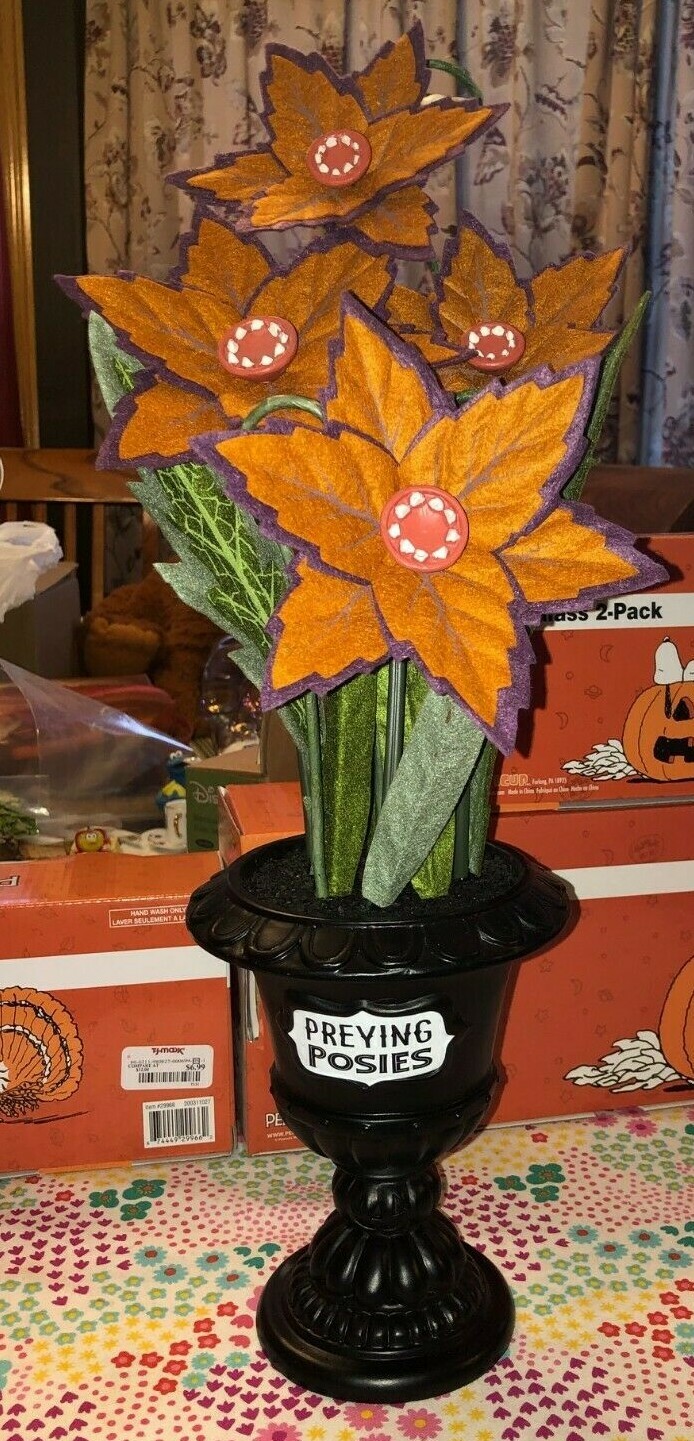 Orange Preying Posies Halloween Succulent Planter Target Hyde & Eek Boutique