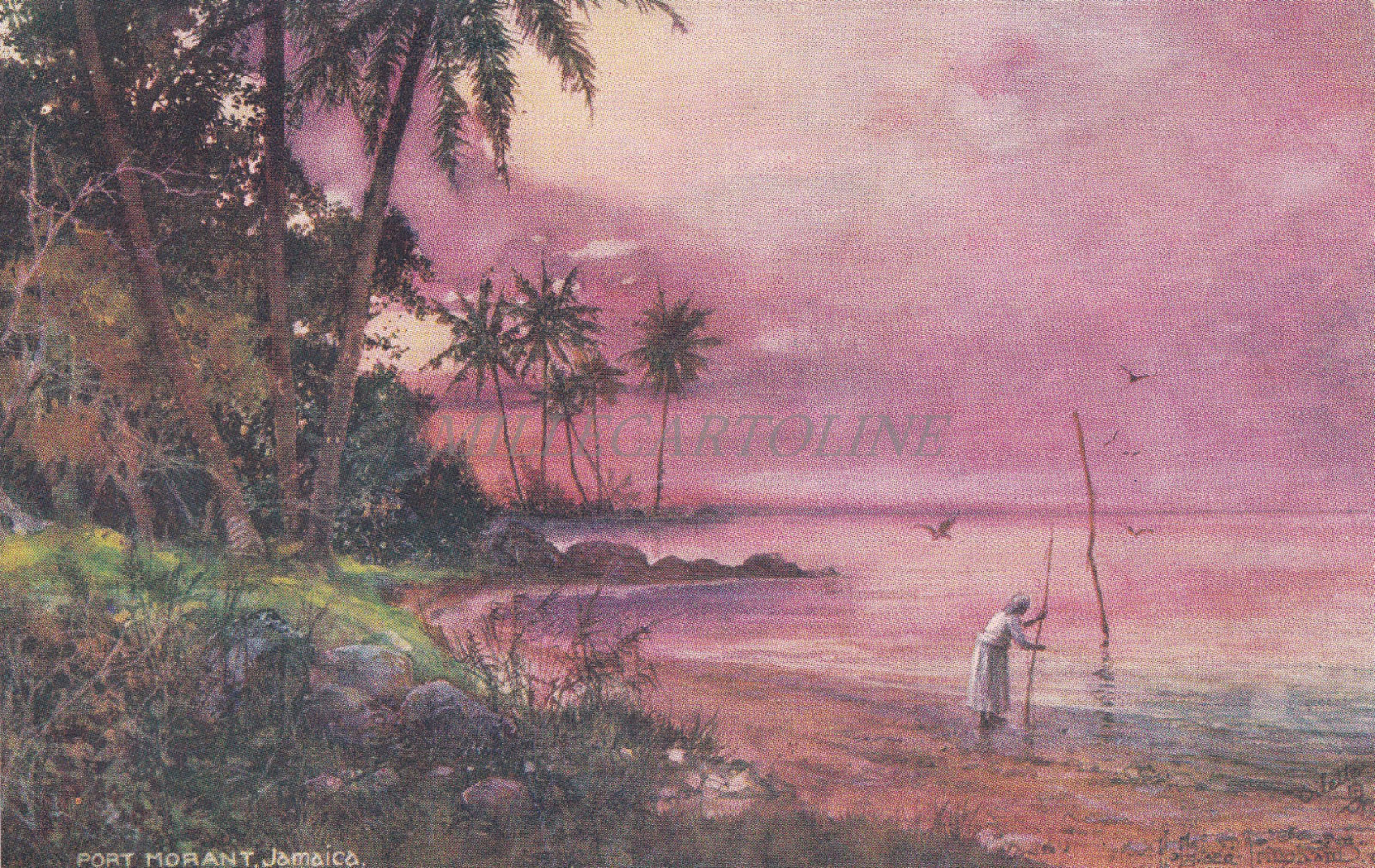 JAMAICA - Port Morant, Wide Wide World, Tuck Oilette Postcard