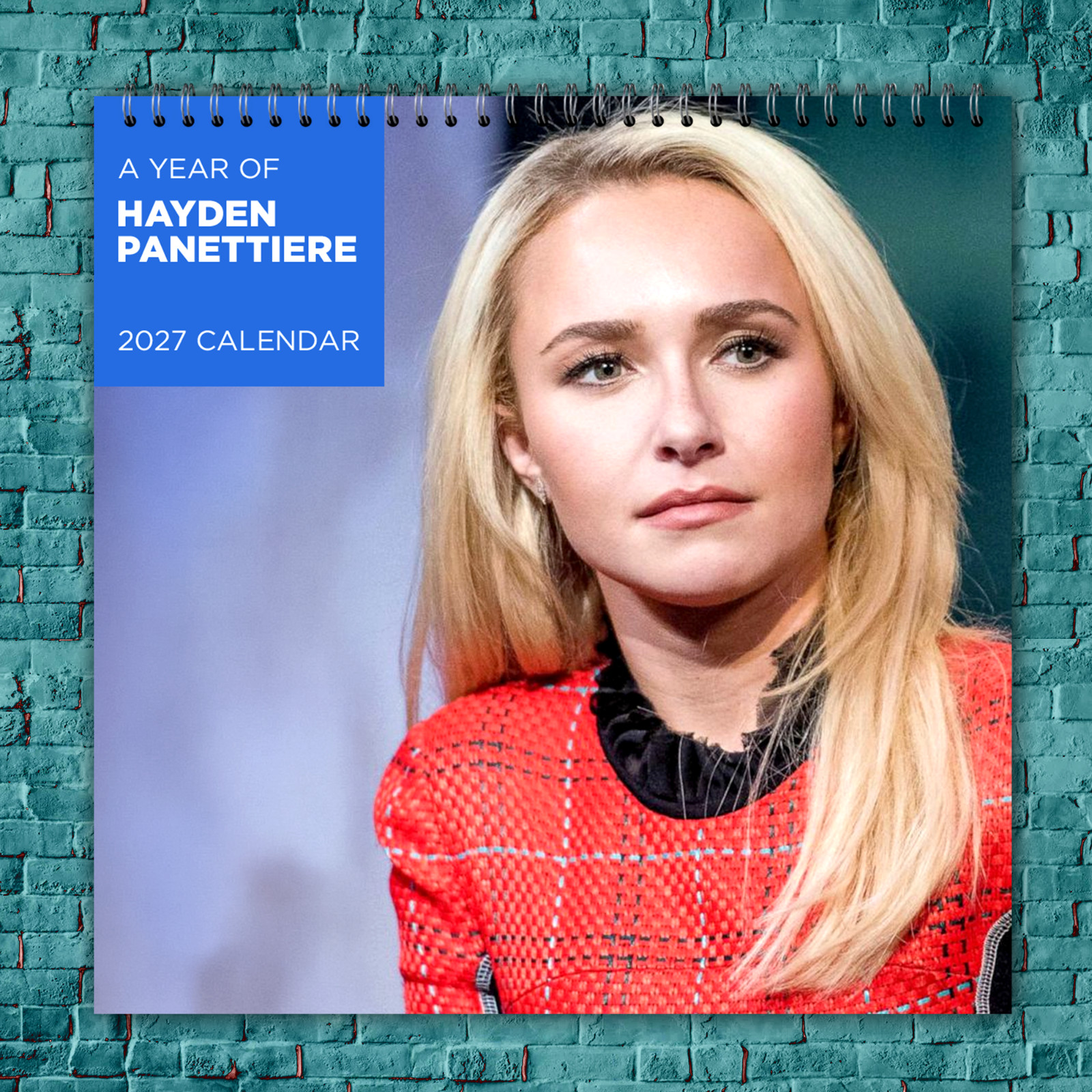 Hayden Panettiere 2027 Wall Calendar 12 Month Celebrity Photo Fan Collectible