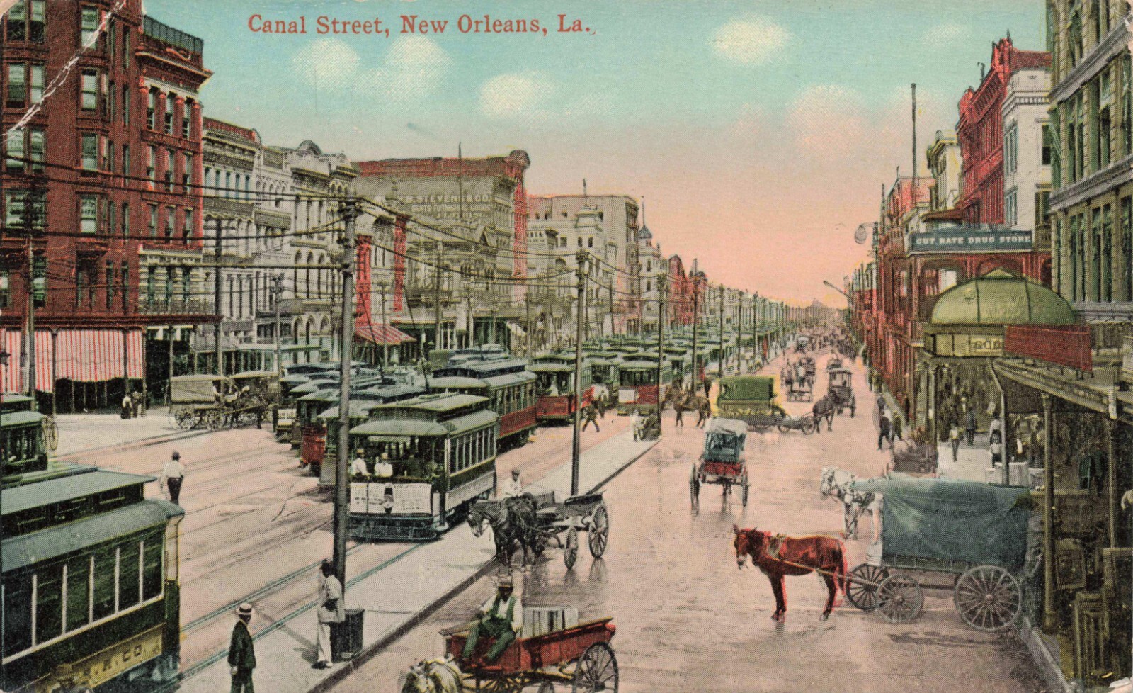 c1909 Canal Street New Orleans Louisiana Trolley Horse & Cart Antique Postcard