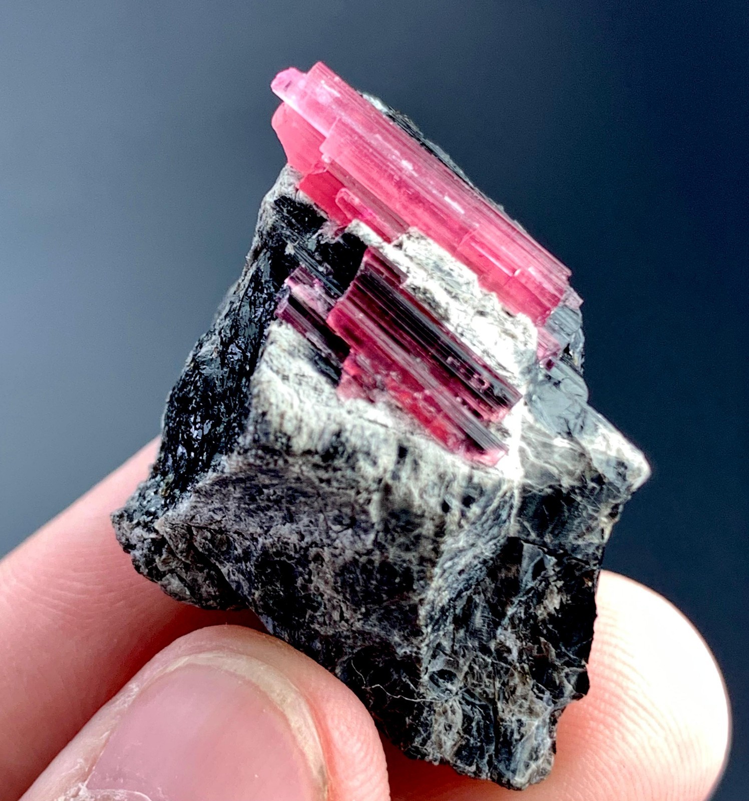 76 Carat Pink Tourmaline Crystal On Smoky Quartz Specimen From Afghanistan