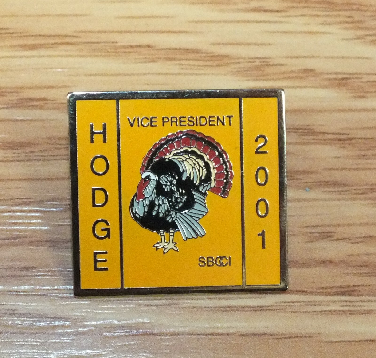 Southern Building Code Congress International SBCCI Vice President 2001 Pin 