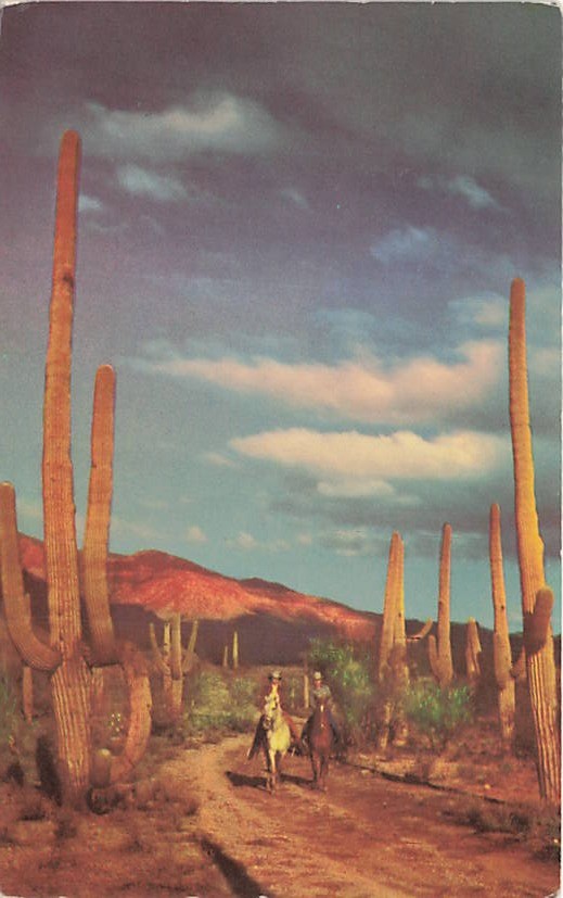 Postcard AZ: Horseback Riding, Papago Park, Near Phoenix & Scottsdale, Arizona Postcard AZ: Horseback Riding, Papago Park, Near Phoenix & Scottsdale, Arizona